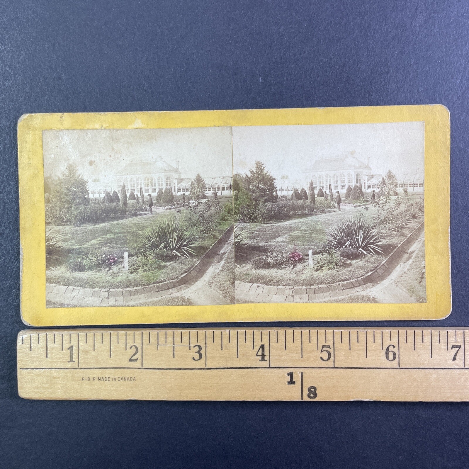 Shaw's Missouri Botanical Garden Stereoview Boehl & Koenig St. Louis 1870s