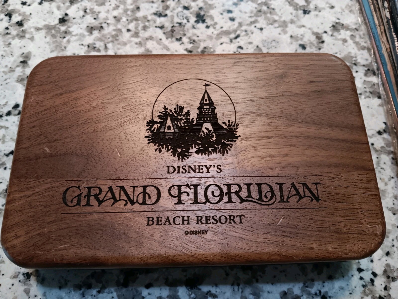 RARE Vintage Disney's Grand Floridian Beach Resort Wooden Dominoes Set 1988-1997