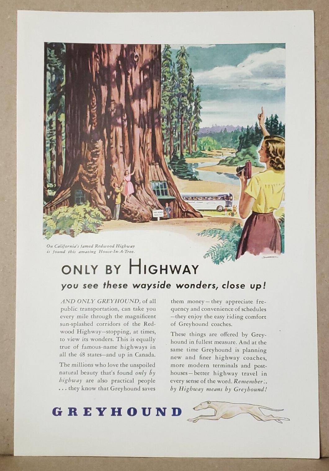 1946 Greyhound Print Ad 