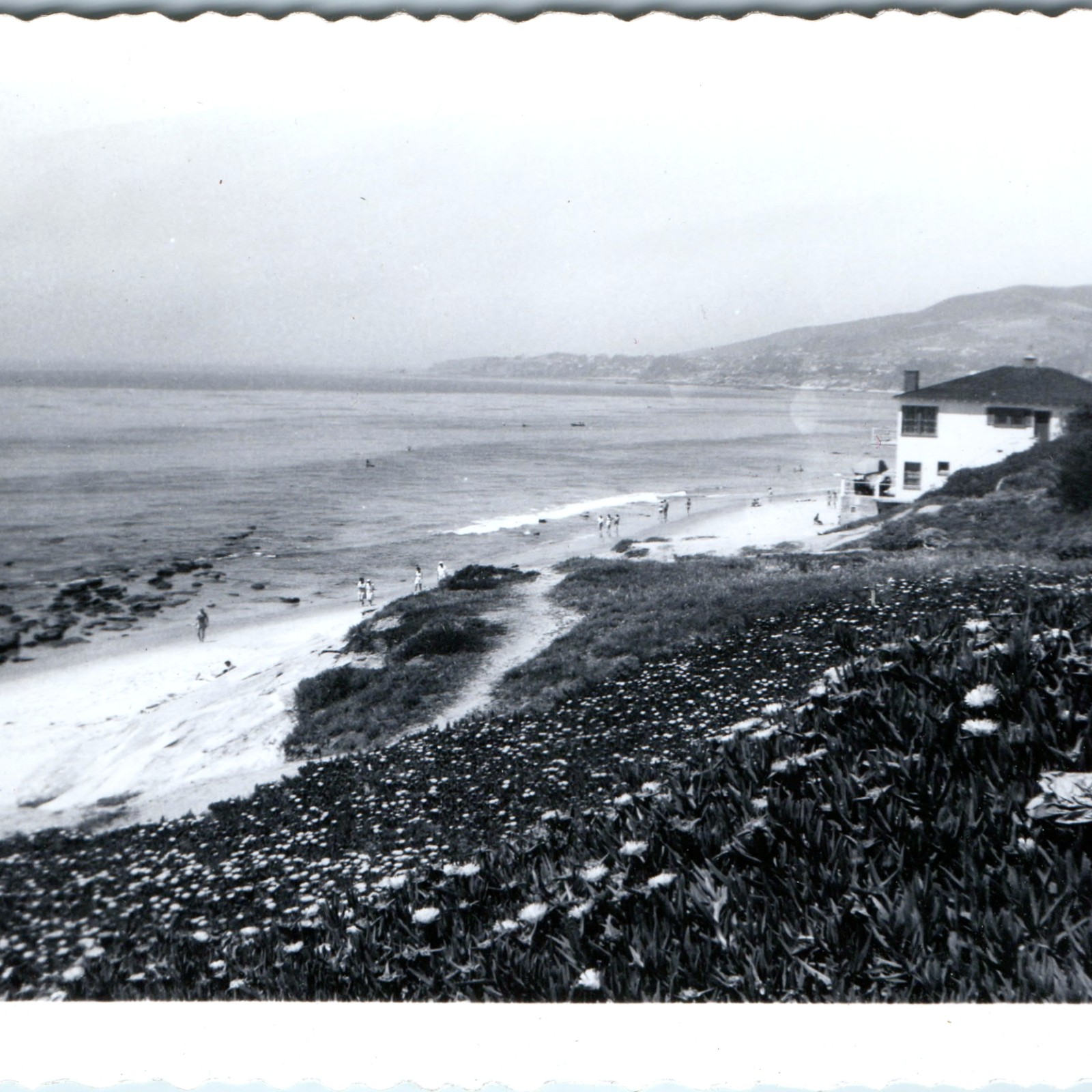 c1950s Laguna Beach CA Snapshot Photo Coastal House Seaside Hillside Flowers Vtg c1950s Laguna Beach CA Snapshot Photo Coastal House Seaside Hillside Flowers Vtg