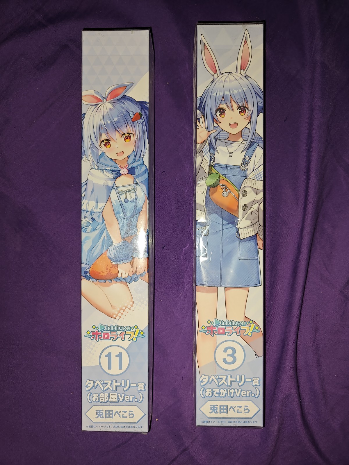 Hololive Usada Pekora Tapestry Set Room + Outing Ver. Hololife Kuji