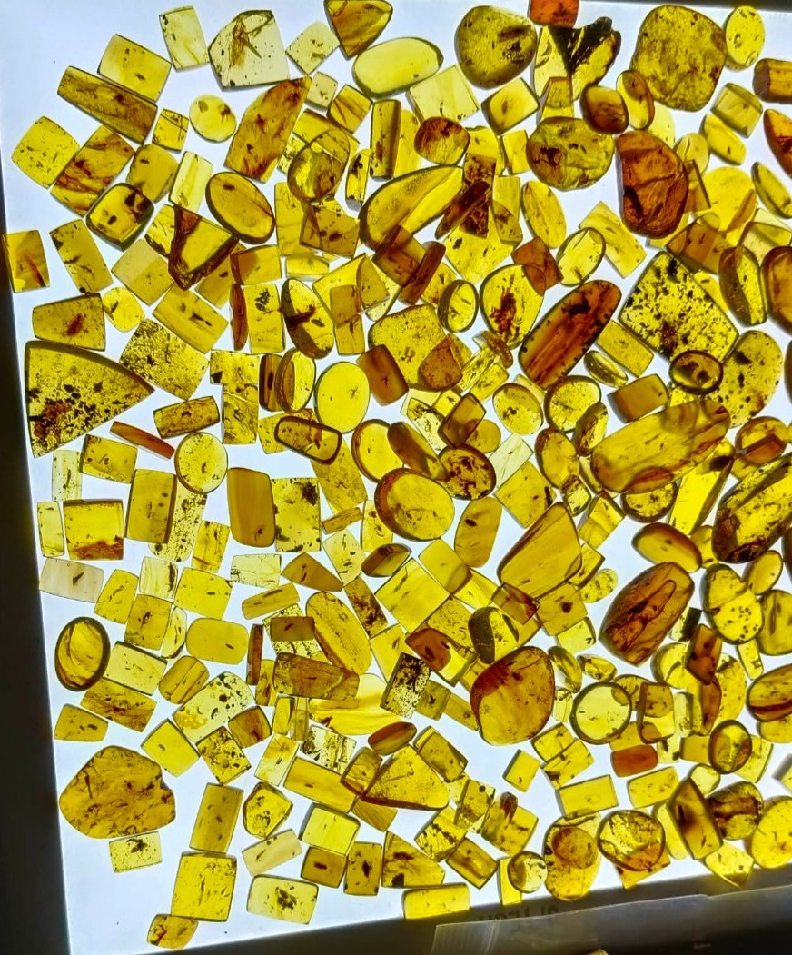 Random set of Burmite inclusion amber for collectors [10 pieces]