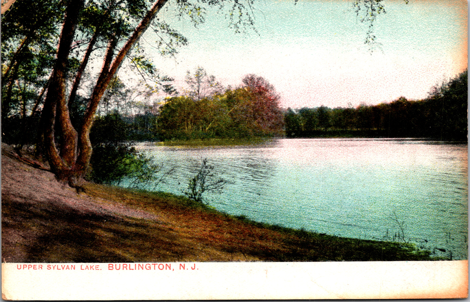 Vintage C. 1910 Upper Sylvan Lake Nature Scene Burlington New Jersey NJ Postcard