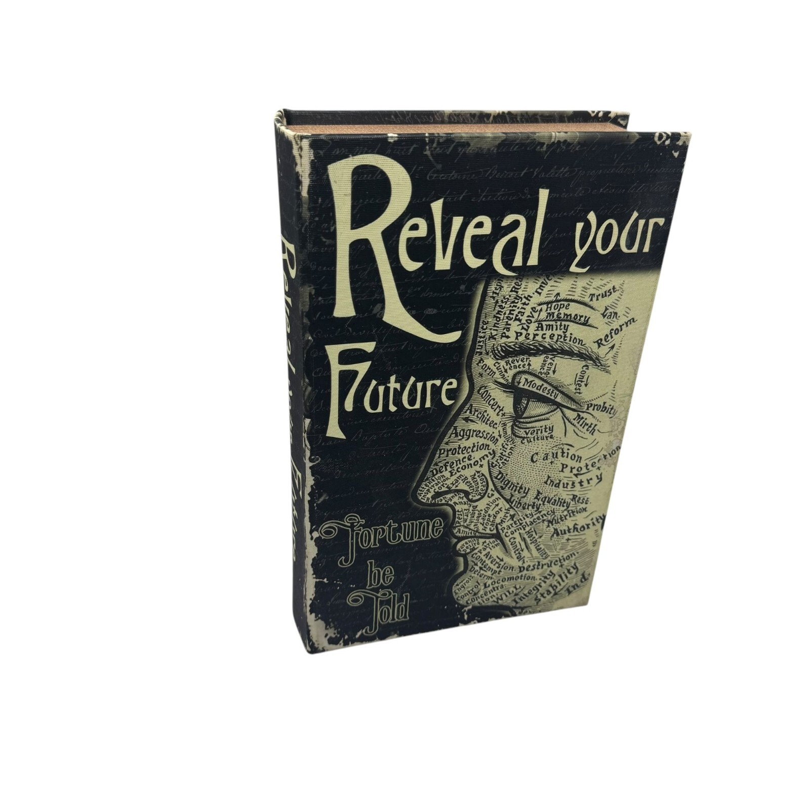 Fortune Teller psychic book safe Opens to store metaphysical supernatural oracle