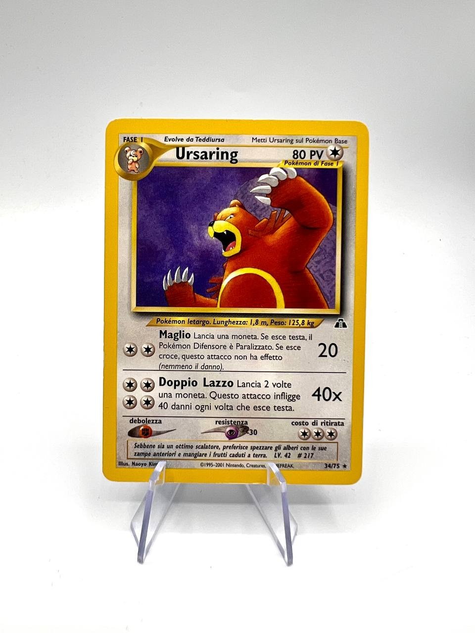 Ursaring 34/75 Pokemon Rare Non Holo Set Neo Discovery 2001 Italian Good