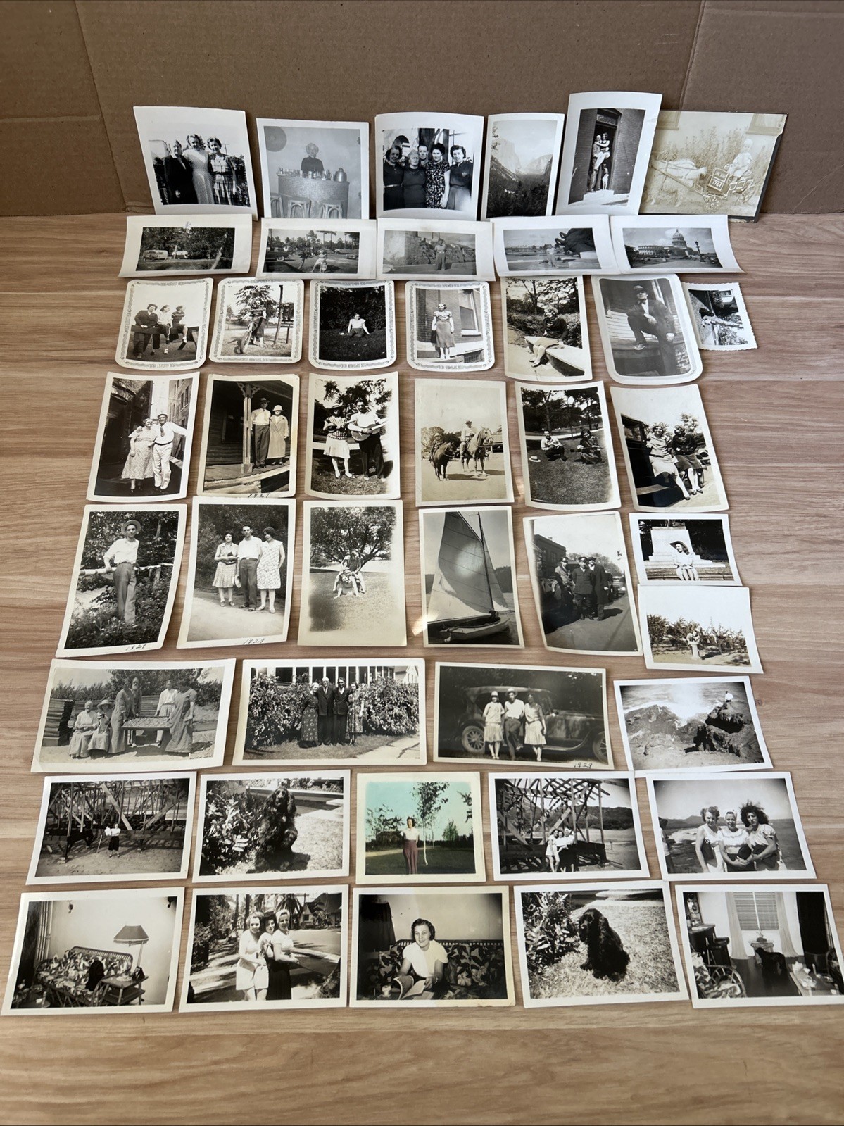 Lot 45 1920s-40s Antique B&W Photographs Family, Havana, Pets Snapshots Portrait
