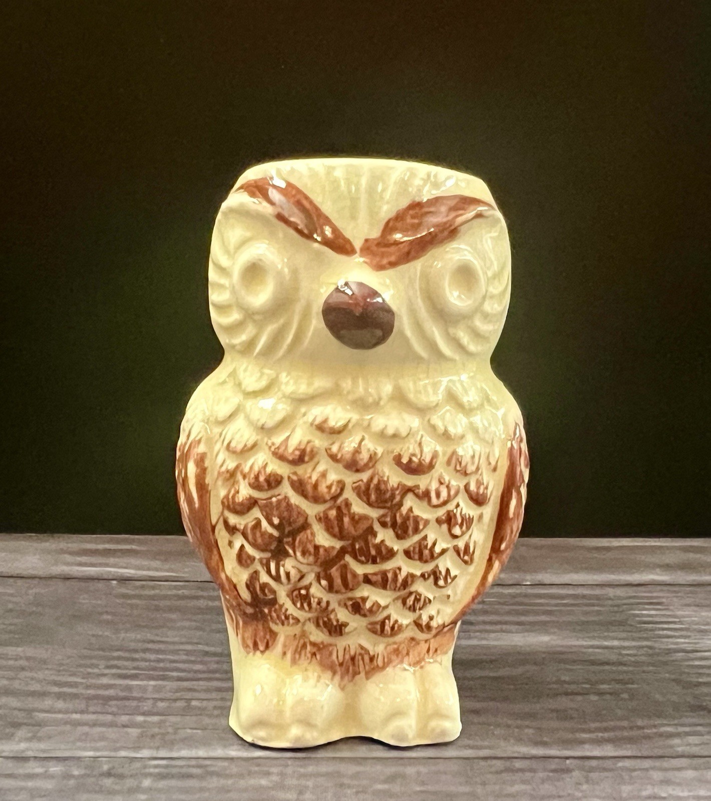 Vintage 1970s Japan Ceramic Owl Toothpick Holder Brown Cream 2.5” Vintage 1970s Japan Ceramic Owl Toothpick Holder Brown Cream 2.5”