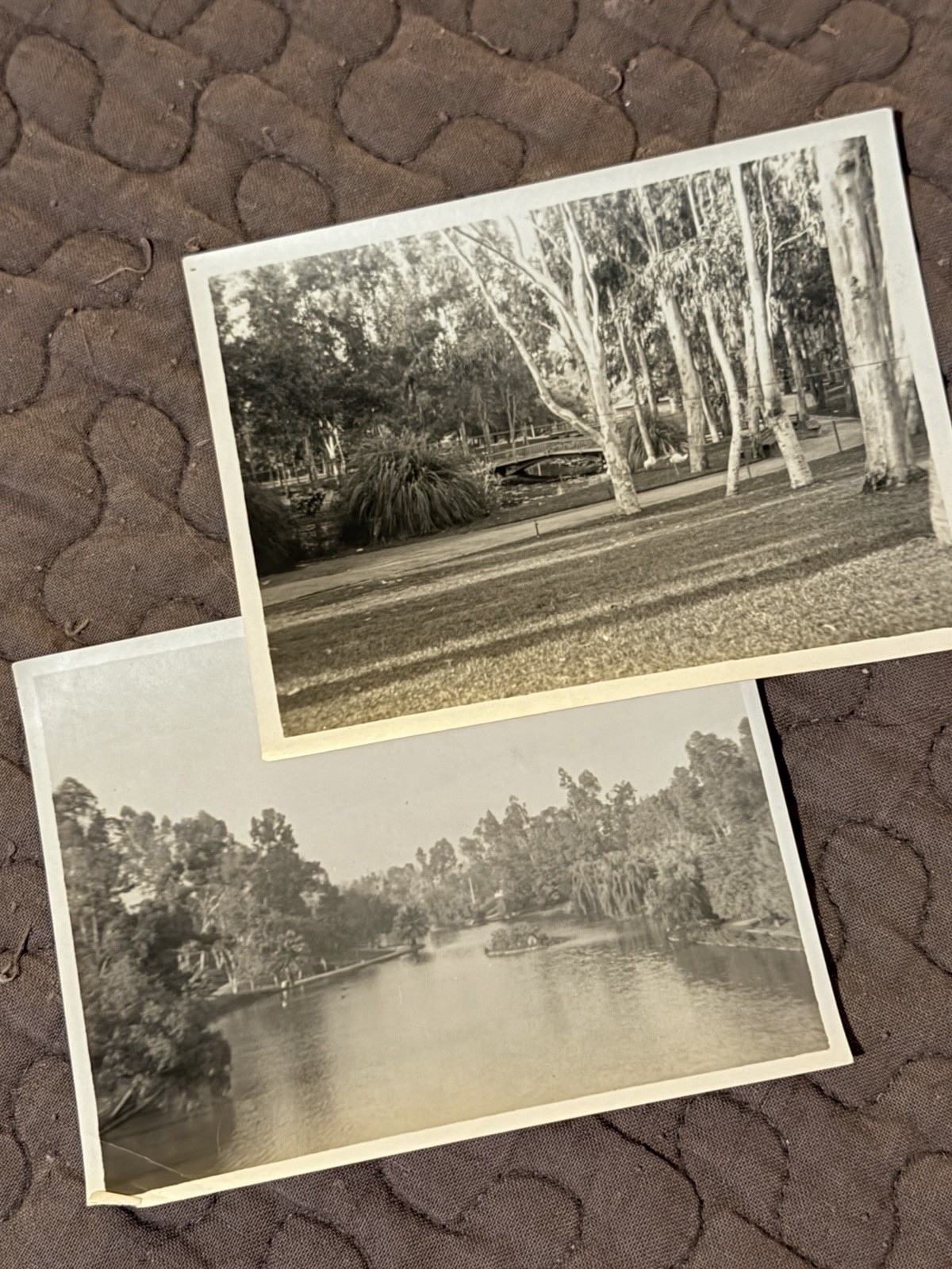 Los Angeles Hollenbeck Eastlake Park Vintage Photo 1905 Los Angeles History