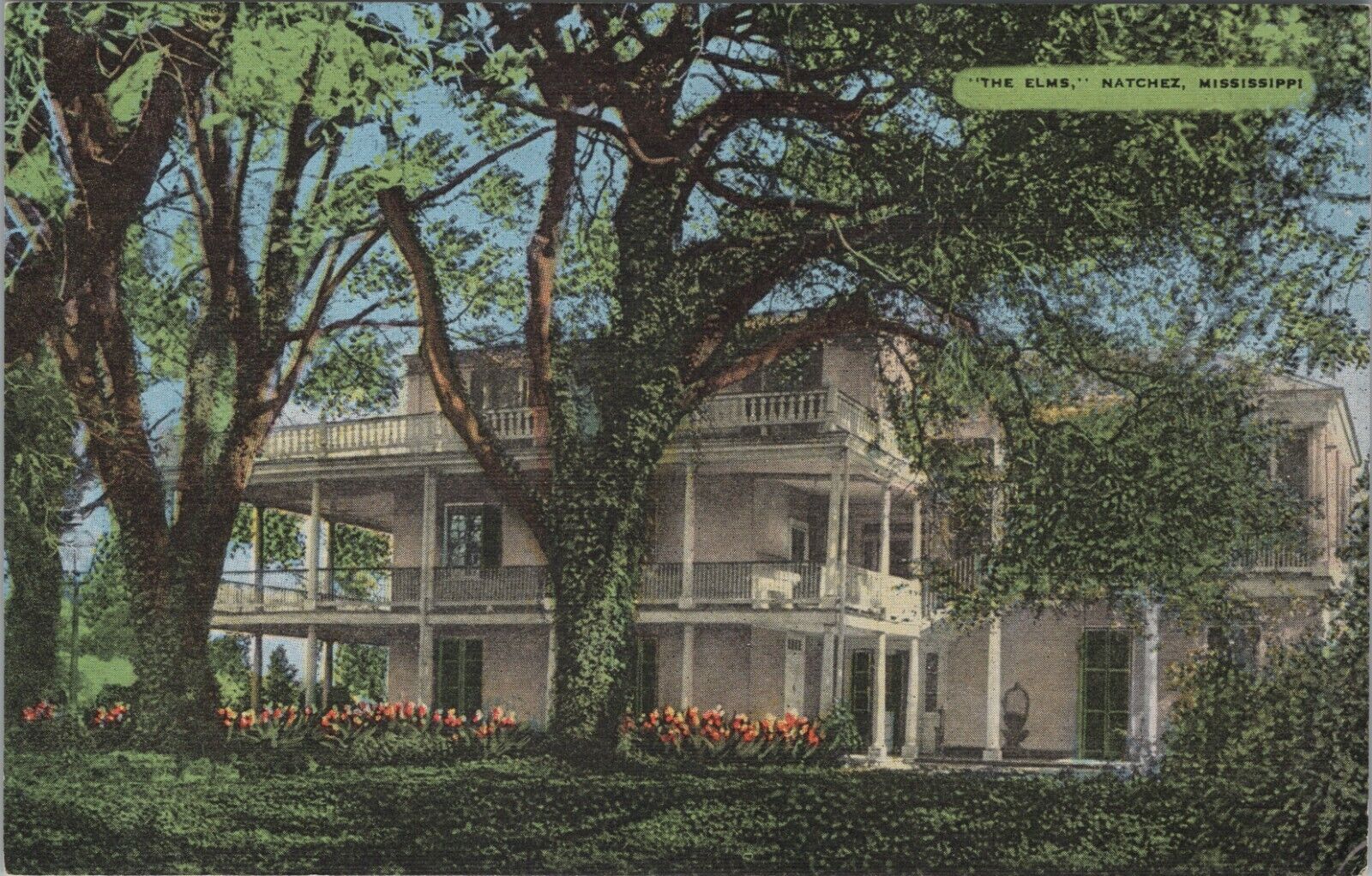 The Elms 1783 Was Made In 1856 Natchez Mississippi Linen Vintage Postcard