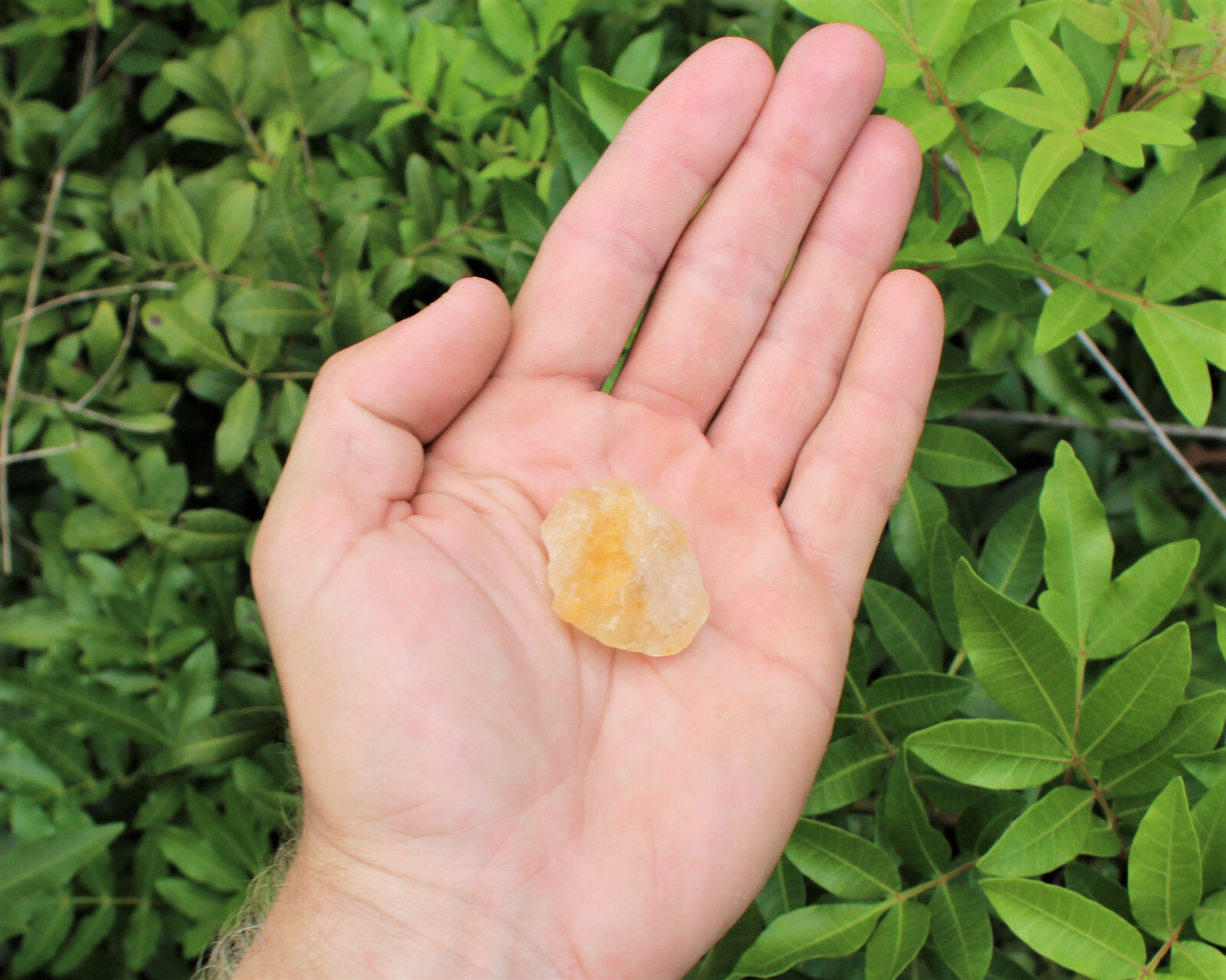 1 Rough Citrine Crystal ('A' Grade Premium Quality Raw Citrine)