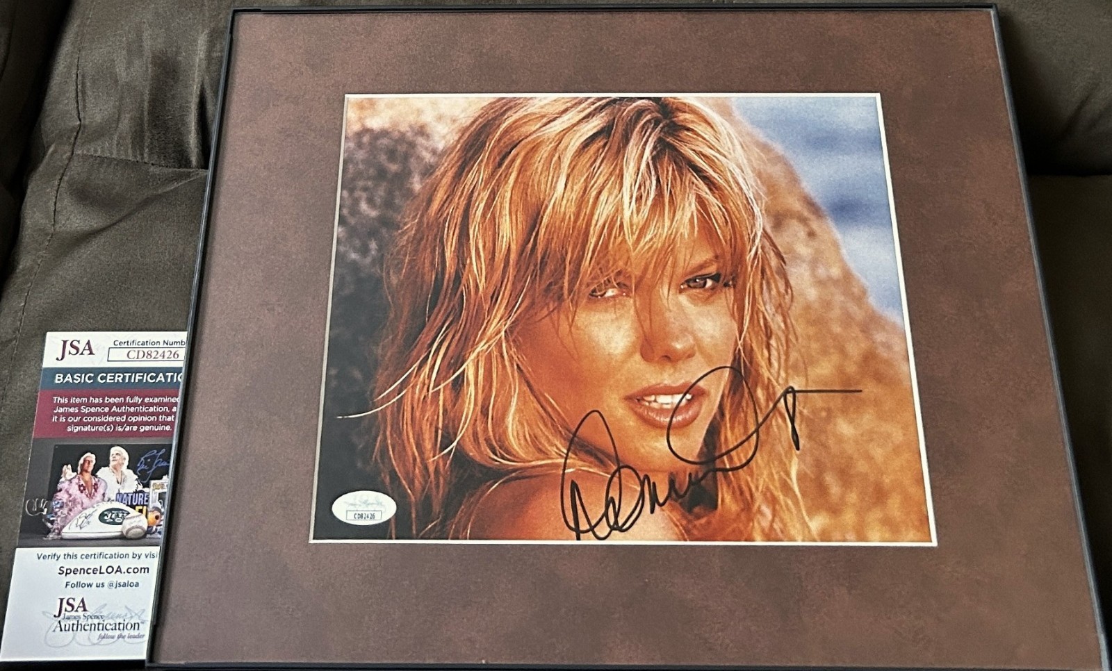 Donna D\'Errico signed Baywatch 8x10 photo matted framed JSA COA Playboy Playmate