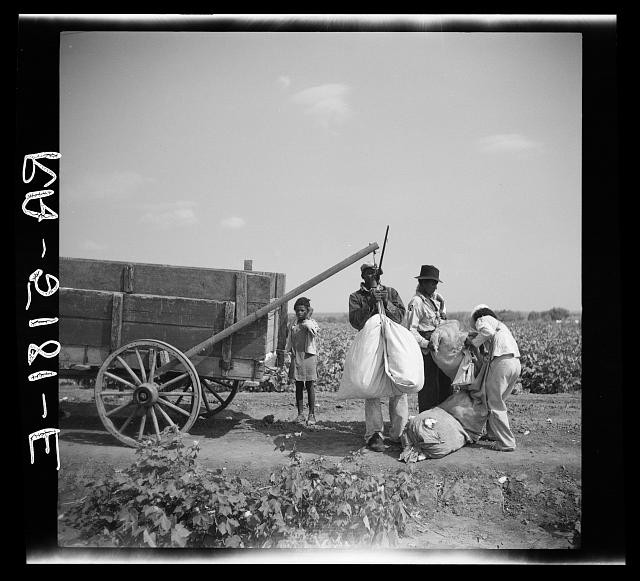 Photo:Kaufman County Texas 1936 Cotton Pickers Field Wagon