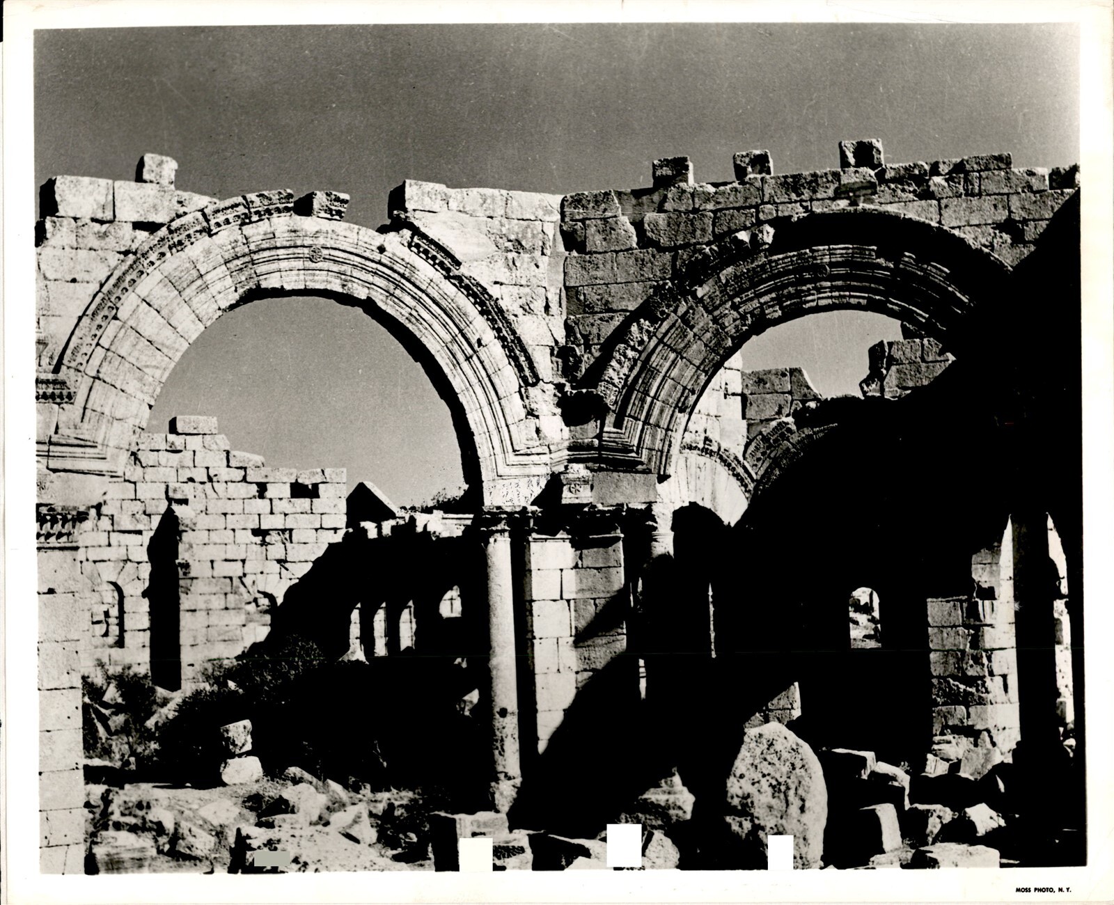 LD315 Original Photo BRIDE OF THE DESERT ANCIENT CITY RUINS IN PALMYRA SYRIA