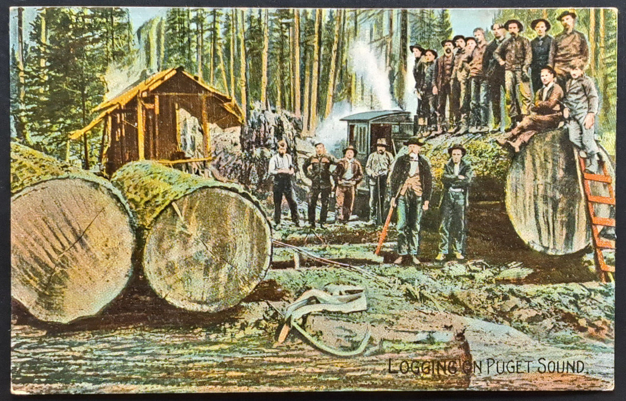 Vintage - 1910 Logging In Puget Sound Seattle Washington - Postcard