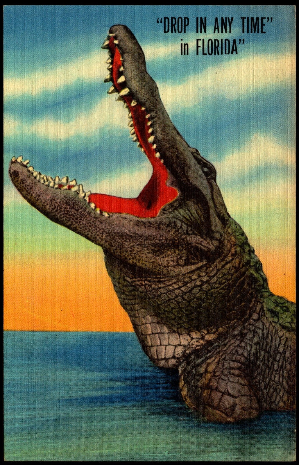 Postcard FL Florida Drop in Any Time Alligator c1940s G2