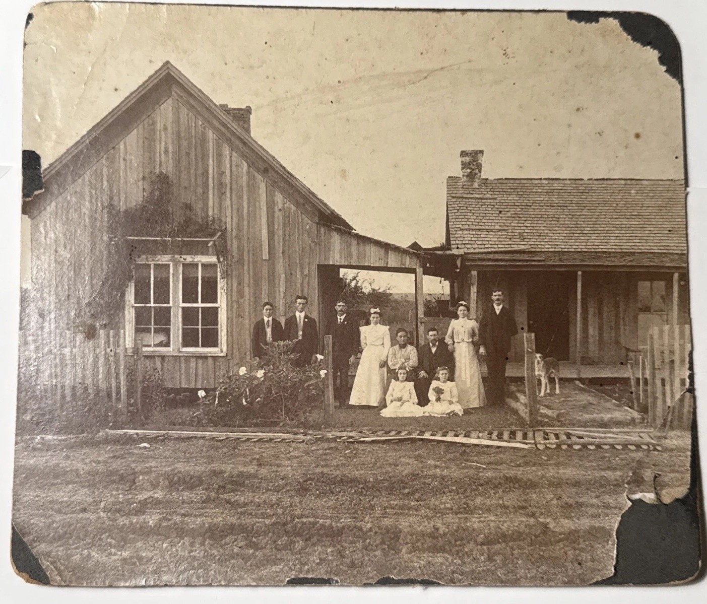 1890s WEDDING w DOG Family antique Photo GROUP Men Women Dresses House Fence