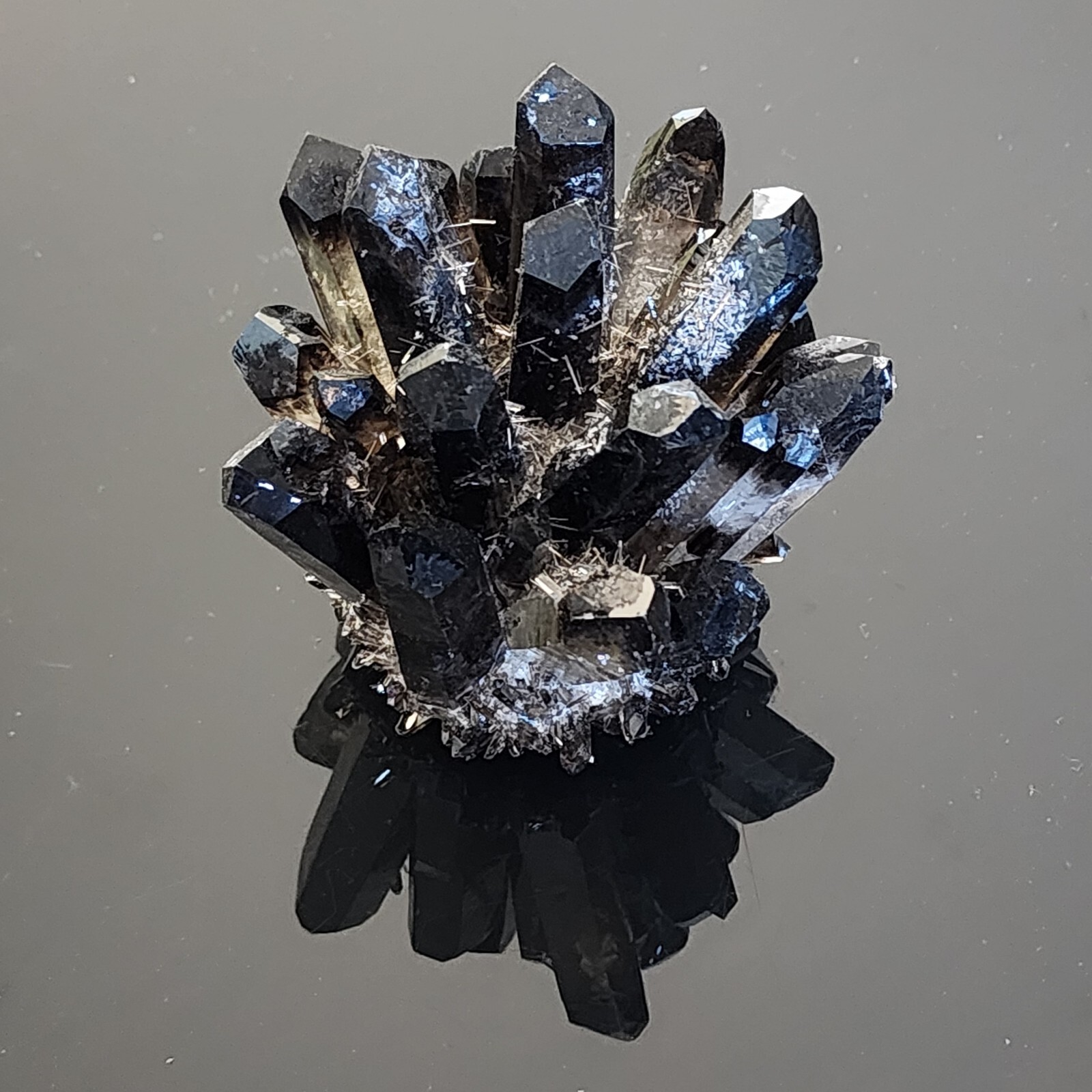 KCGS Natural Black Smokey Quartz Crystal Cactus Mineral Specimen Healing #0099