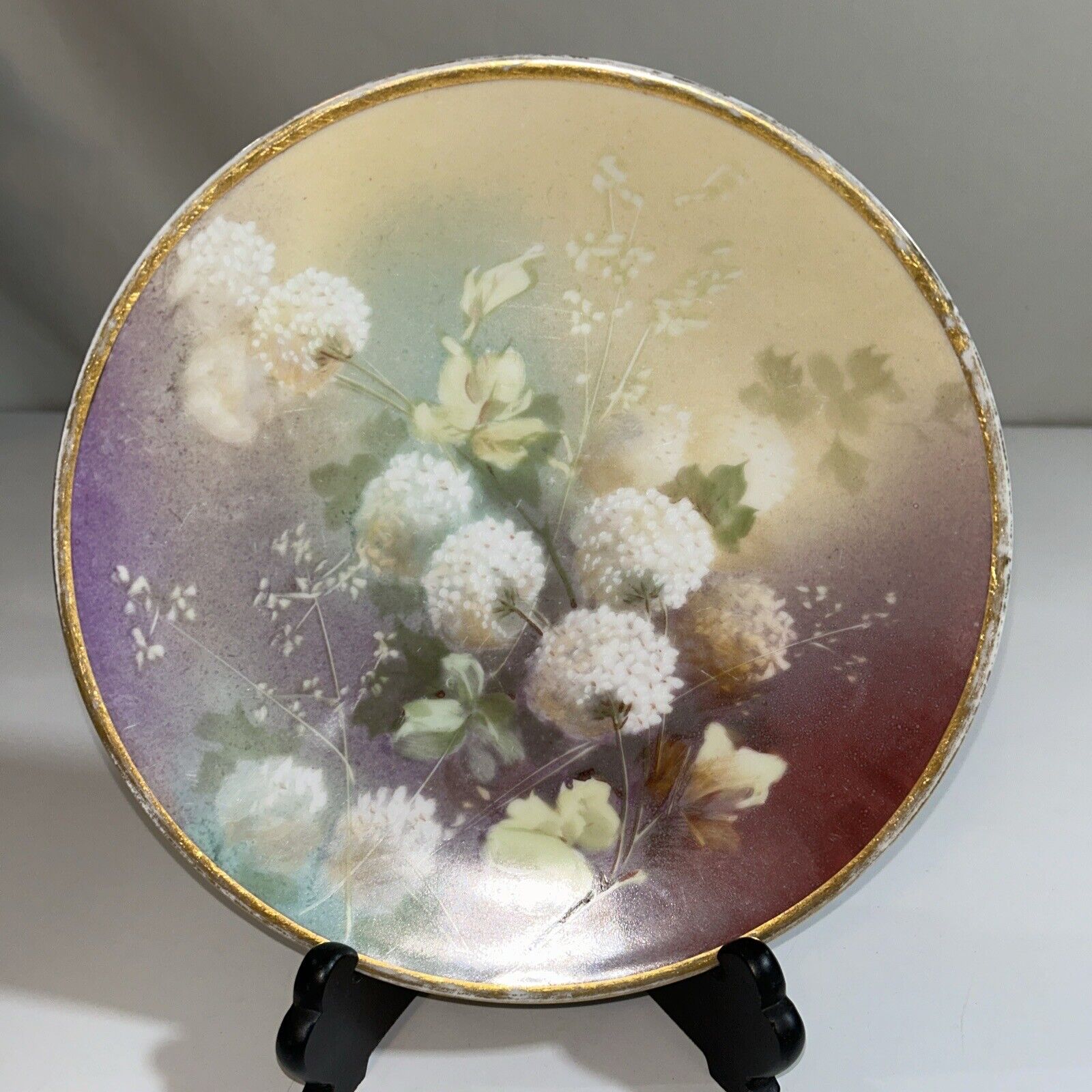 Antique Porcelain FLORAL Cabinet Plate MARTIAL REDON France 1891 to 1896.