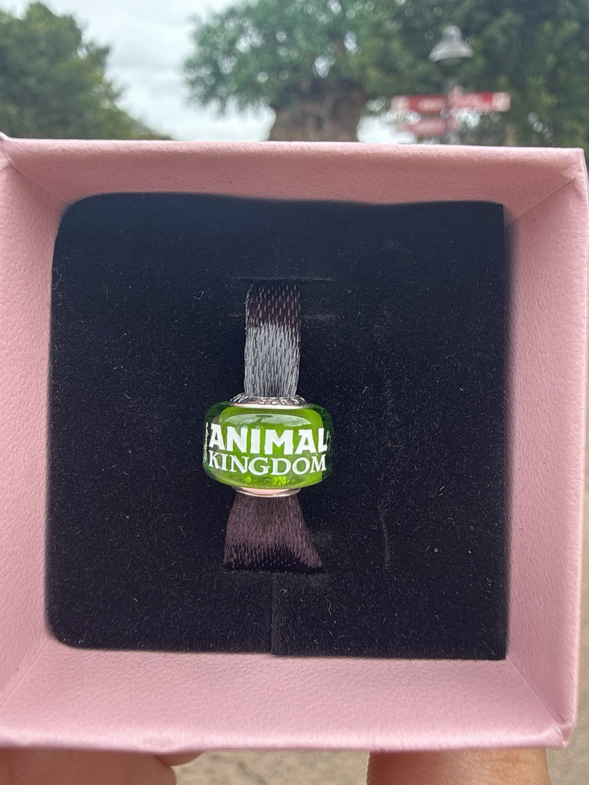 Disney Parks 2026 Pandora WDW 55th Anniversary Animal Kingdom Murano Glass Charm