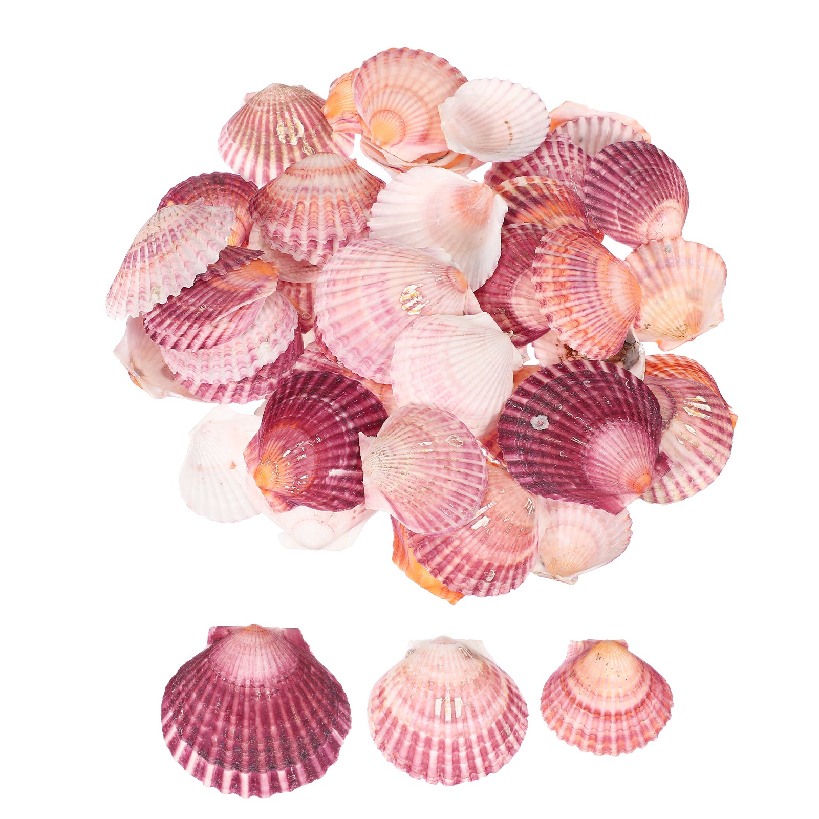 60Pcs 1.6\ 60Pcs 1.6\