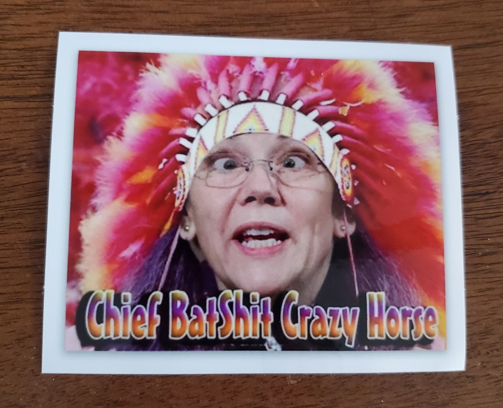 Elizabeth Warren Bumper Sticker Decal Made In USA 🇺🇸 
