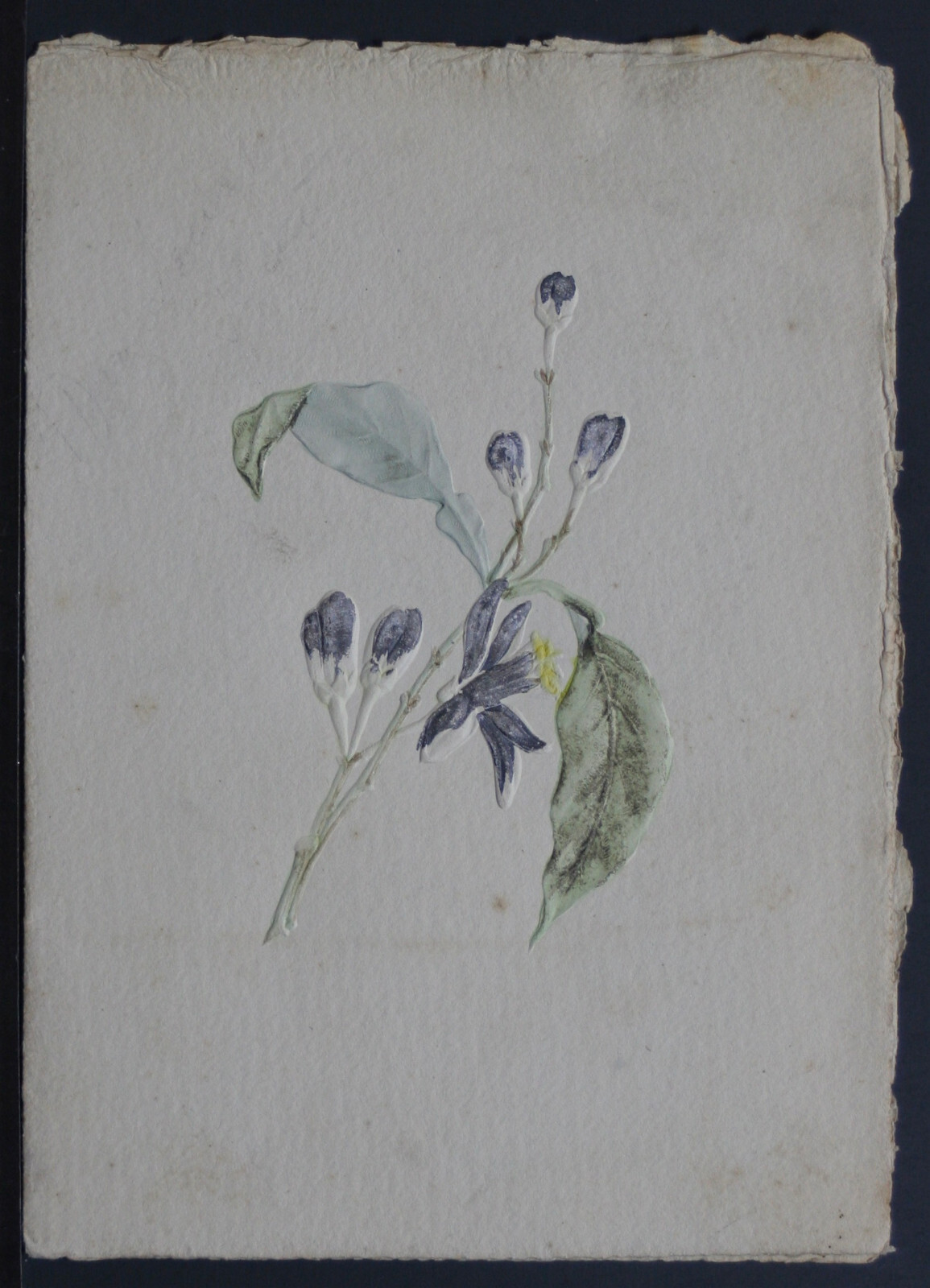 1912 Embossed / Hand Painted Daily Menu - French Ship?   EPH61