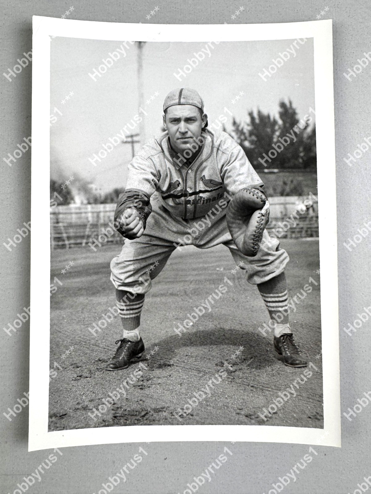 St Louis Cardinals Sam Narron MLB Baseball Vintage 1939 Original Press Photo