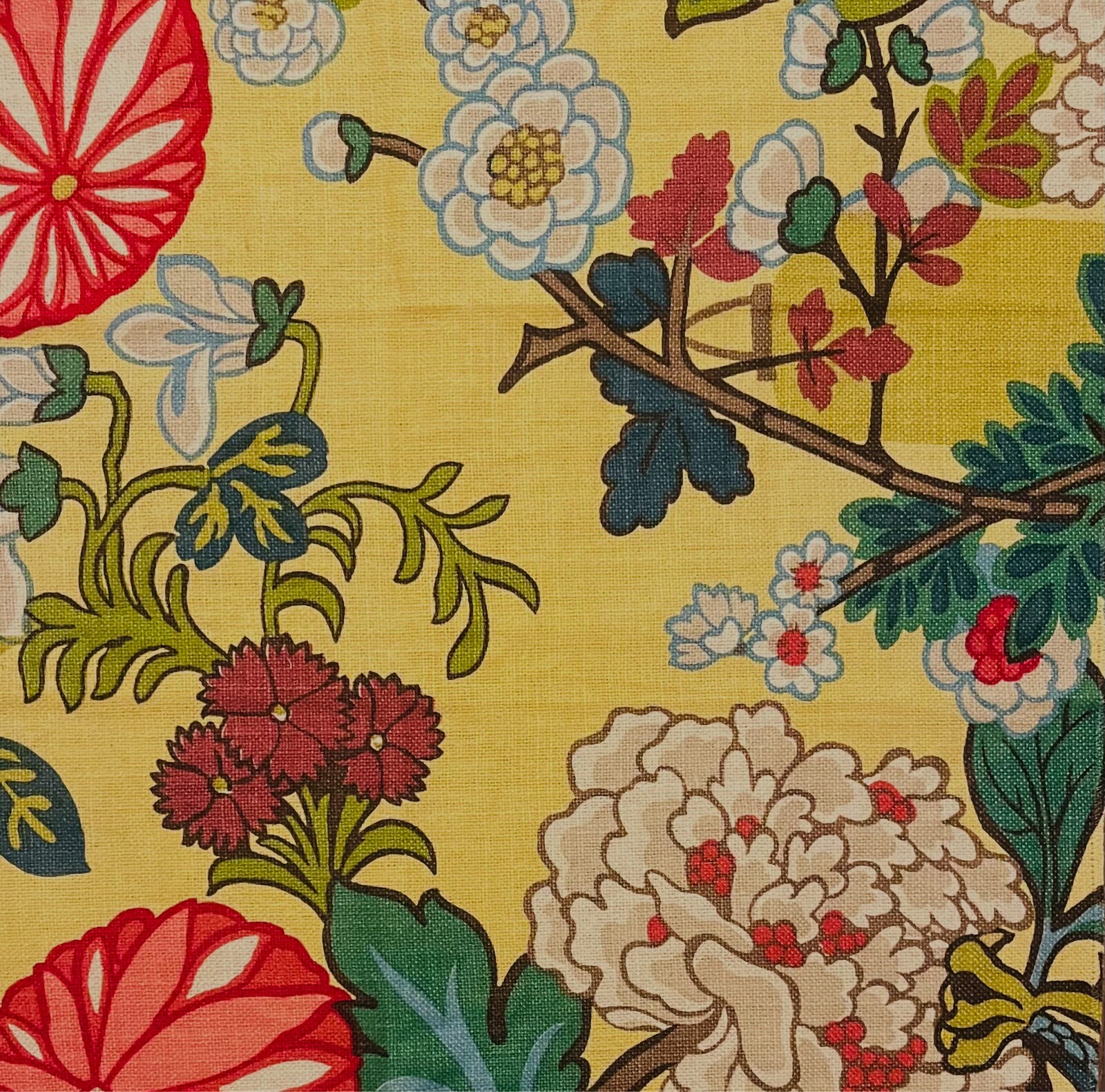 SCHUMACHER Chiang Mai Dragon Yellow Remnant New
