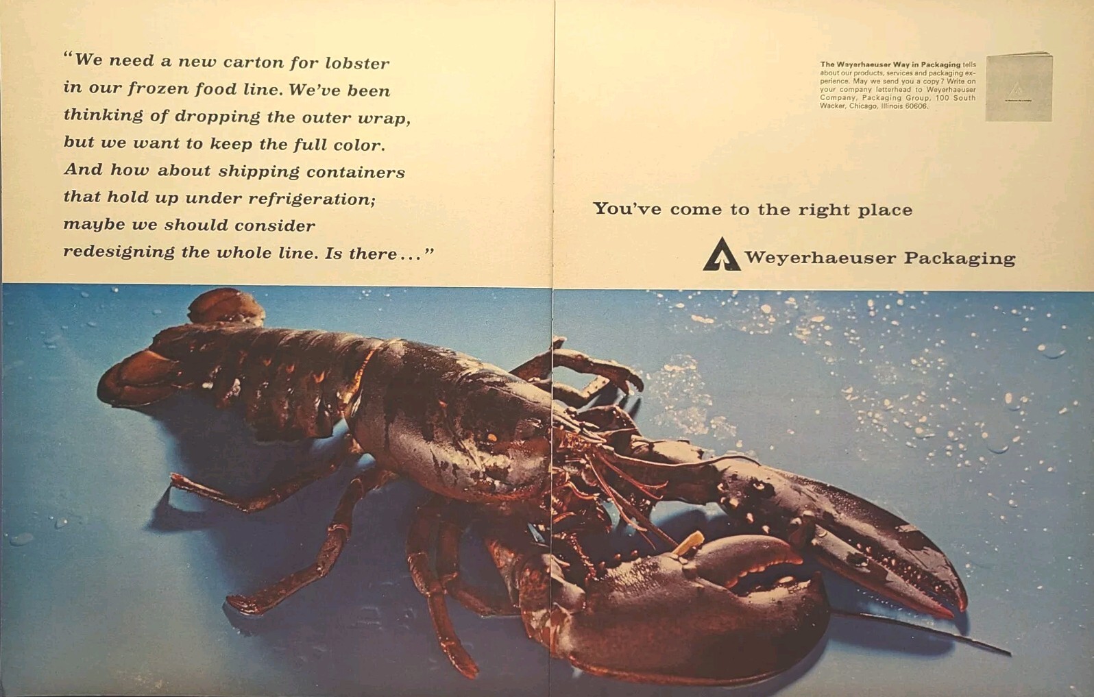 Weyerhaeuser Packaging Solutions Lobster Vintage Print Ad 1965