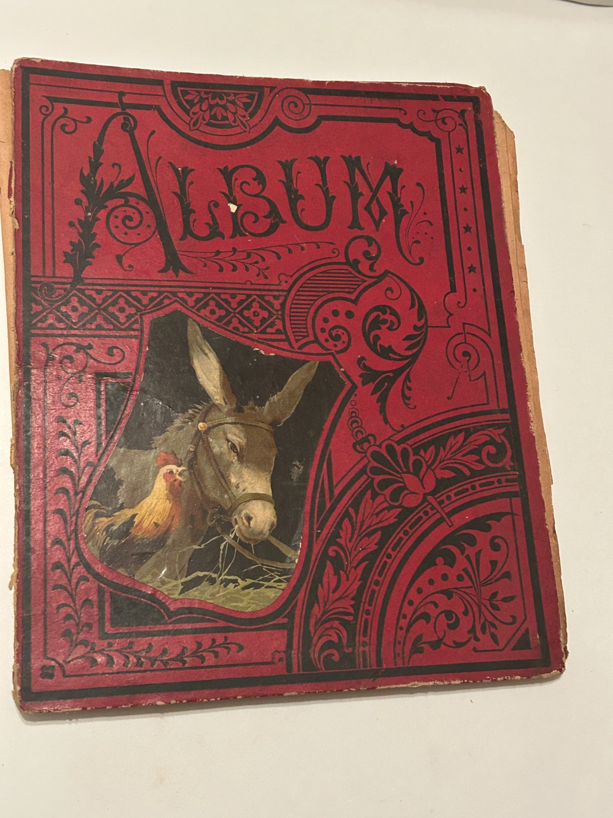 READ As Is Victorian Trade Card Die Cut Album Advertising Scrapbook 1880's READ As Is Victorian Trade Card Die Cut Album Advertising Scrapbook 1880's