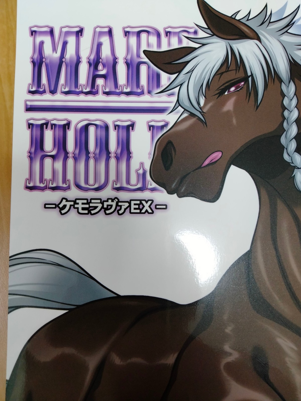 Doujinshi MARE HOLIC #8 (B5 76pages) Mayoineko etc.