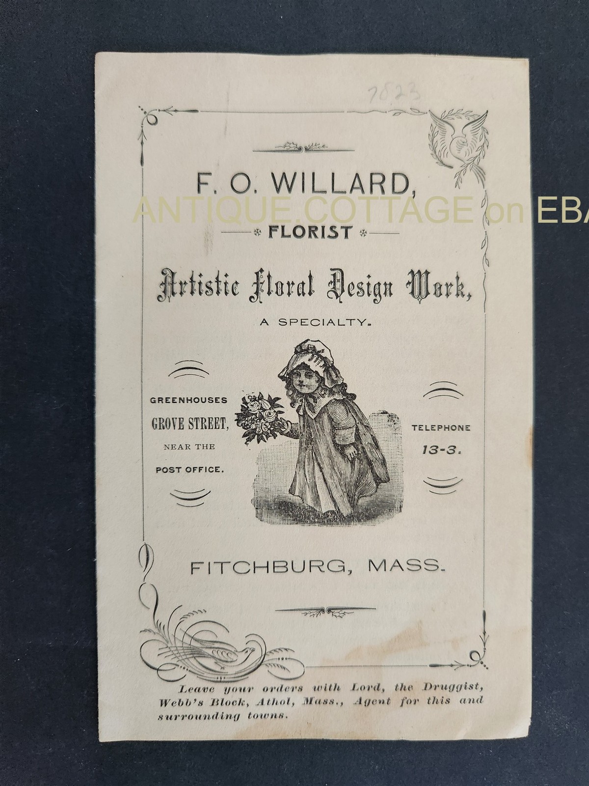 c1880 antique F O WILLARD fitchburg ma FLORIST advertising 