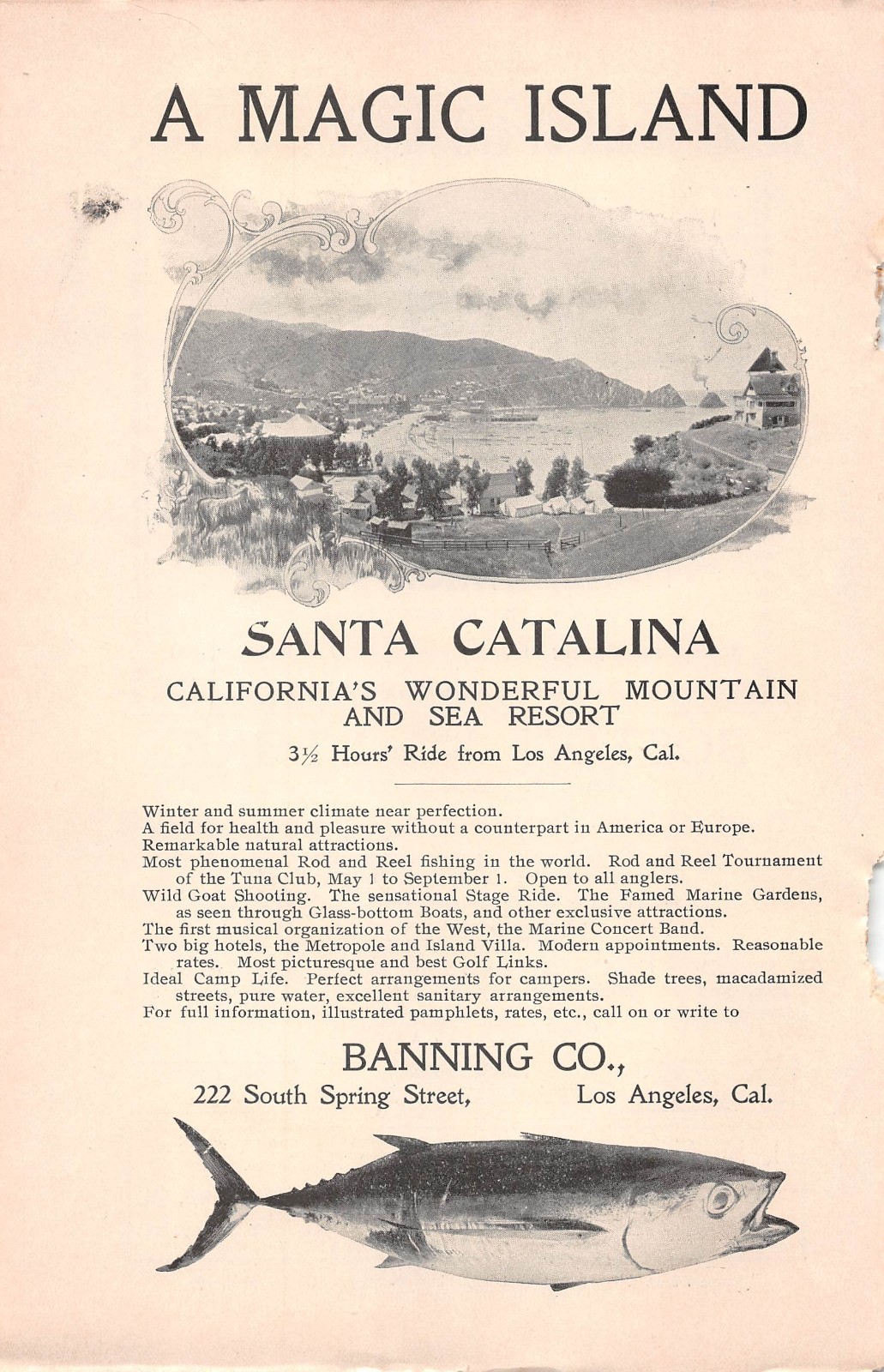 antique 1899 print ad SANTA CATALINA Island CA Tuna Club Rod Reel Fishing Avalon