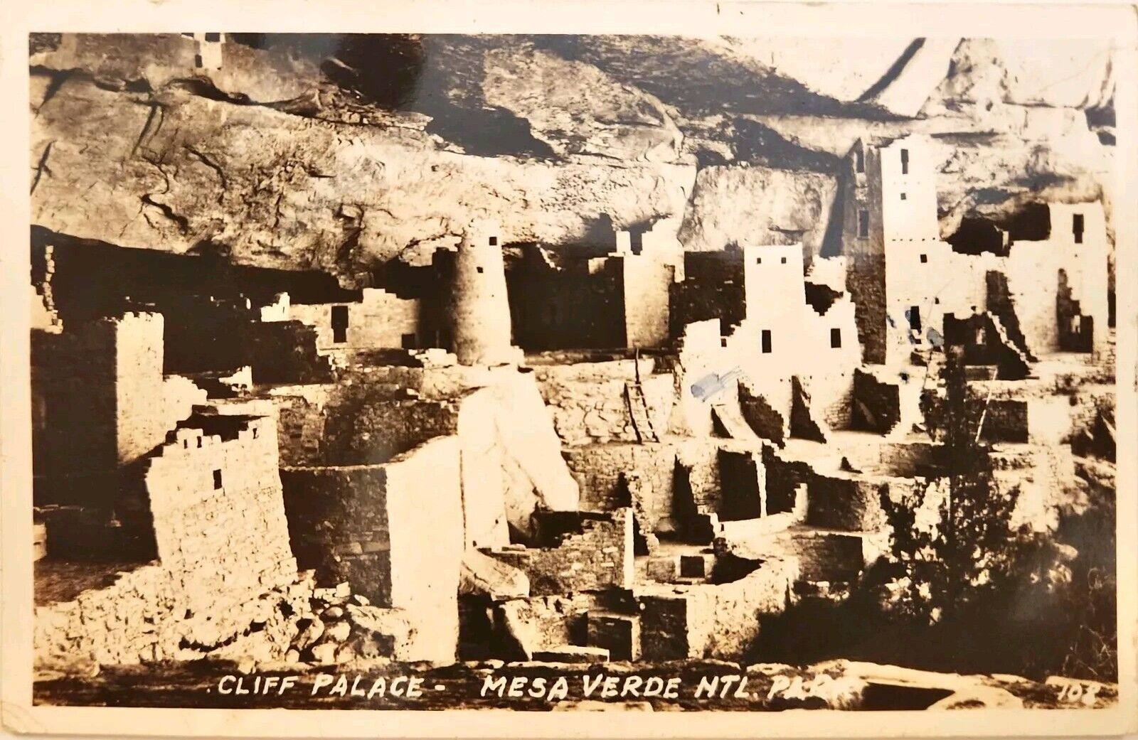 RPPC Cliff Palace Mesa Verde National Park Real Photo Postcard