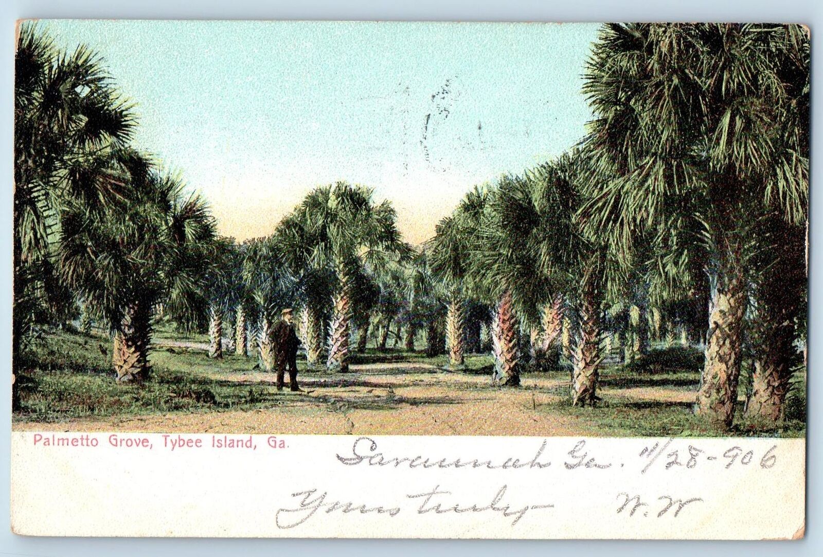 1906 Palmetto Grove Man On The Farm Overview Tybee Island Georgia GA Postcard