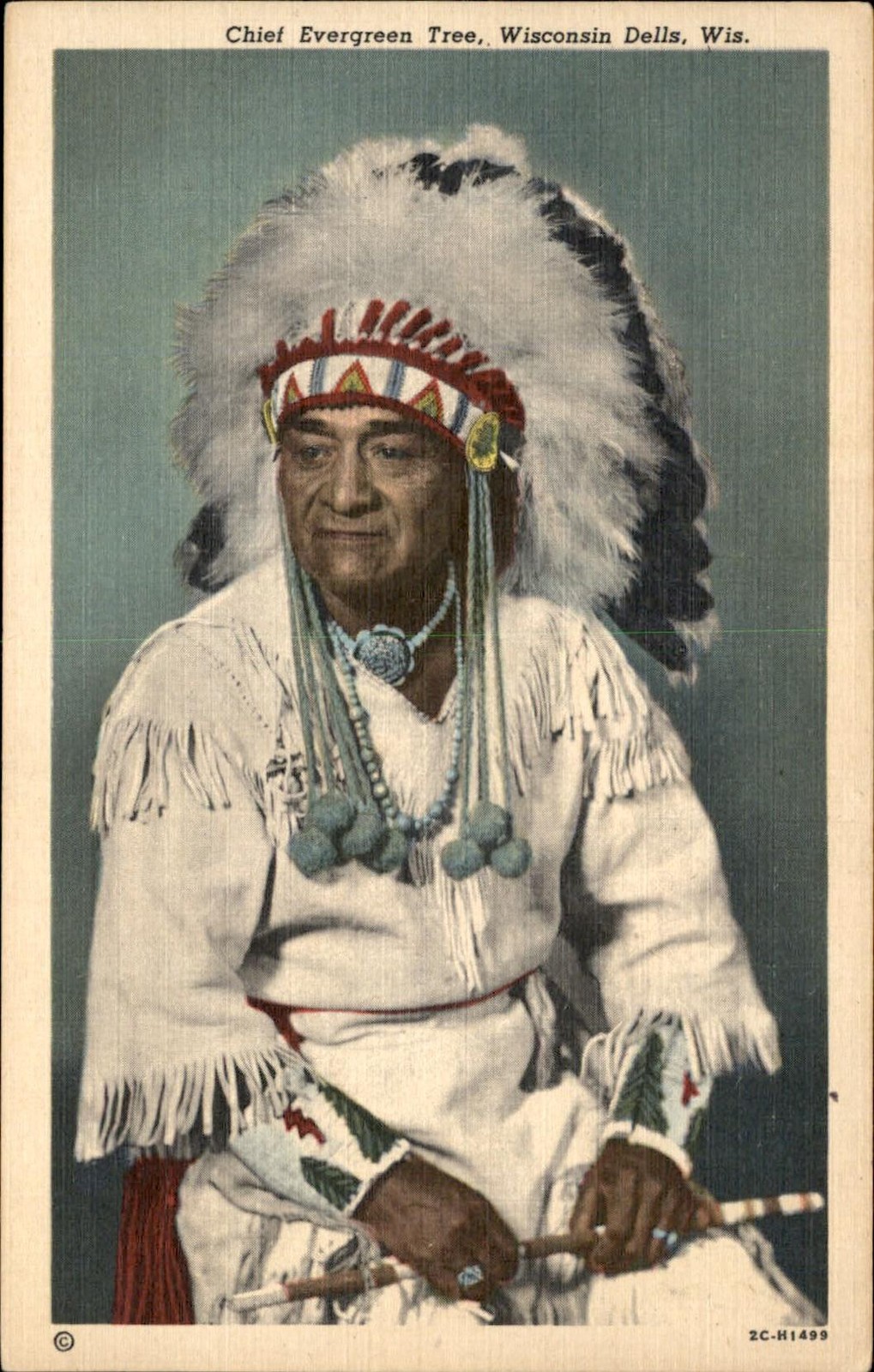 Wisconsin Dells WI Chief Evergreen Tree c1940s-50s Vintage Postcard