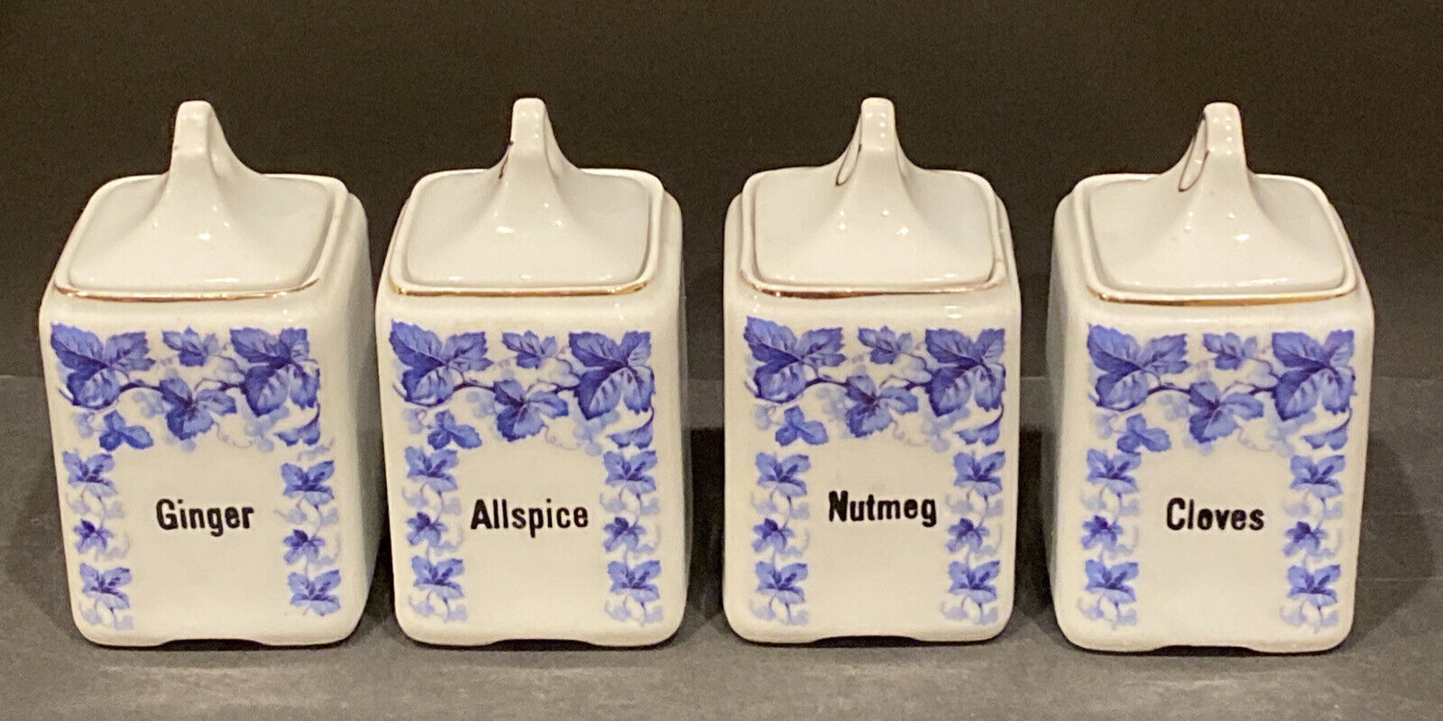 Vintage Schwarzburg Floral Set of 4 Nutmeg Cloves Ginger Allspice Canisters 5” H