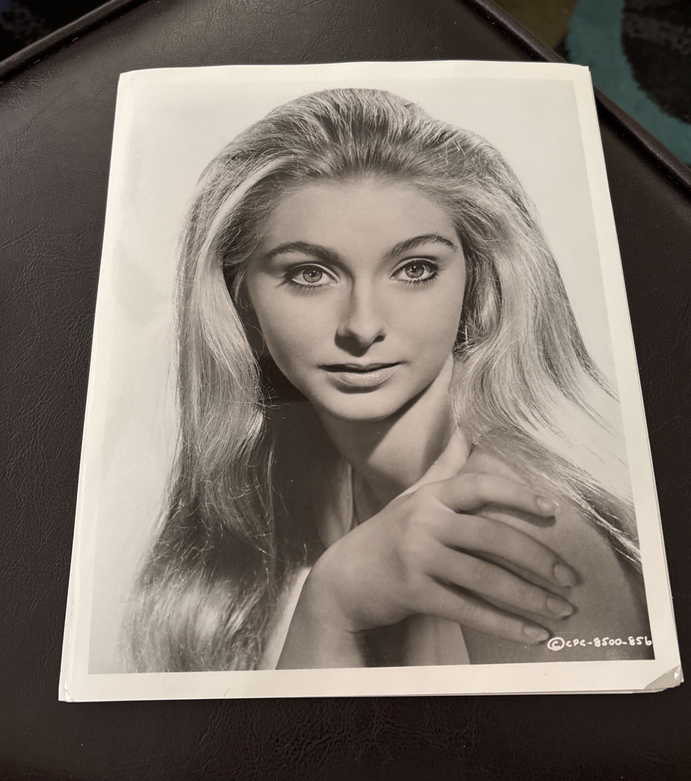 Katherine Walsh 8 X 10 Original Vintage PHOTO 1960s #3