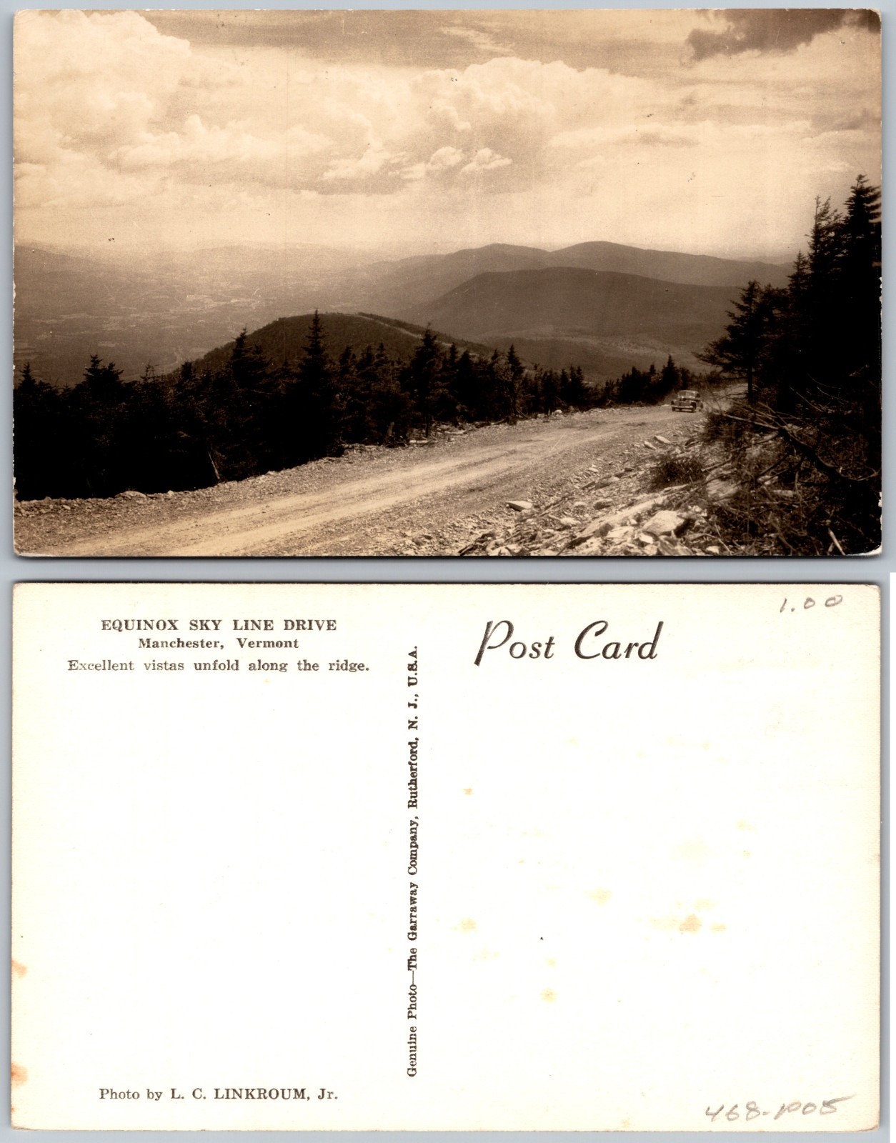 RPPC Mountain Ridge Gravel Road Pines Panoramic View Photo Postcard
