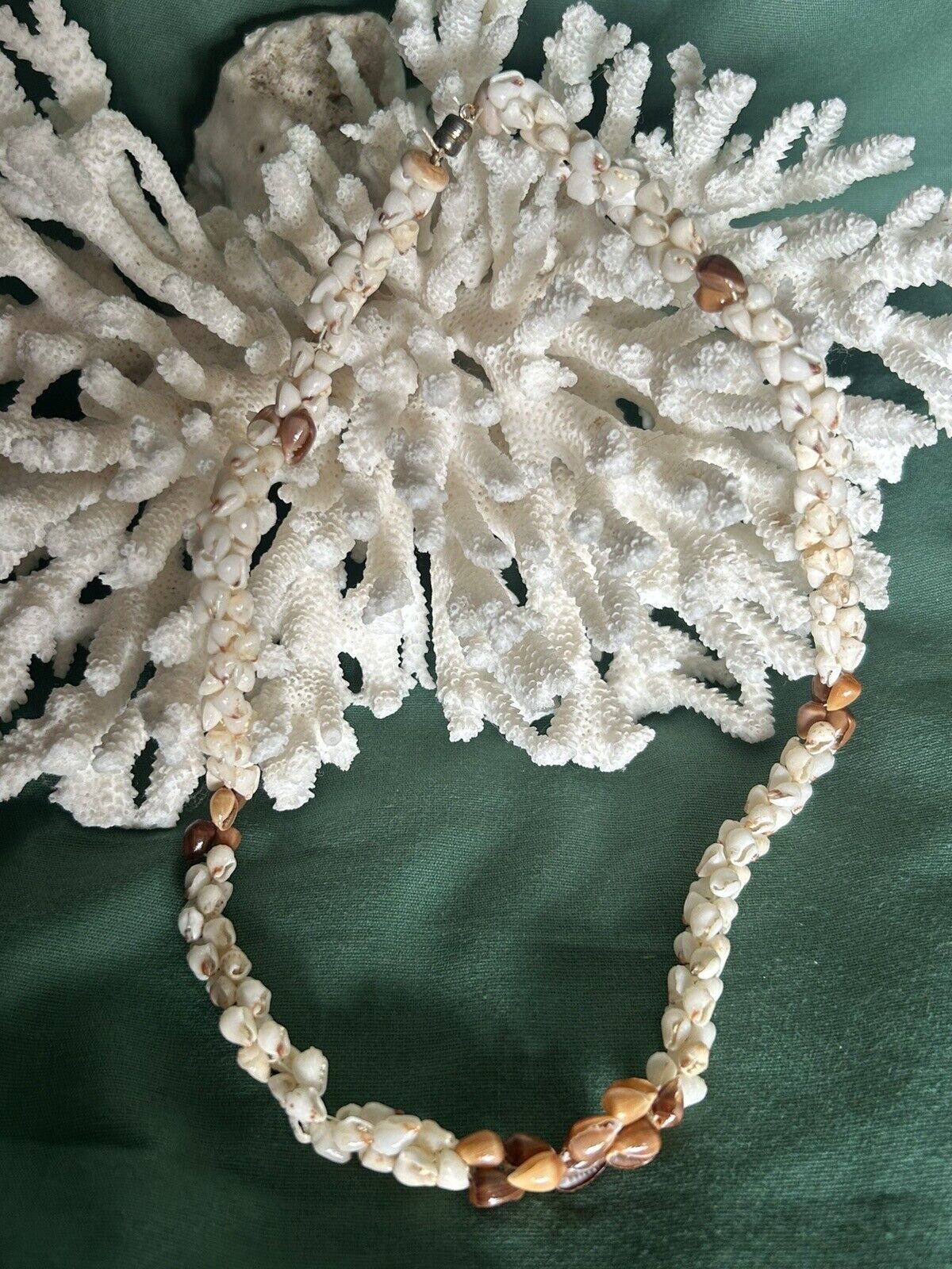 Hawaiian 100% White Momi,poleo, Necklace 18”