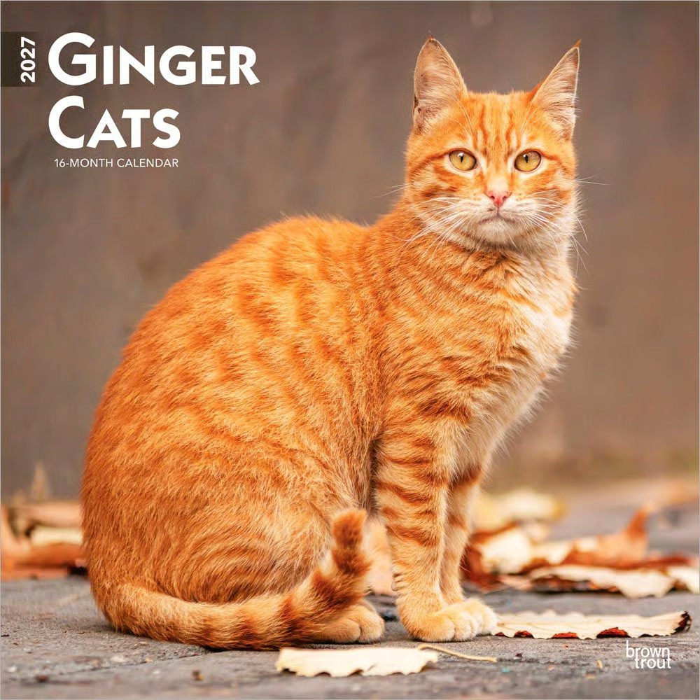 BrownTrout,  Ginger Cats 2027 Wall Calendar