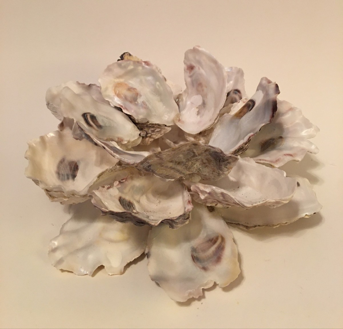 Oyster Shell Flower Centerpiece Candle Holder Handcrafted Beach House Decor