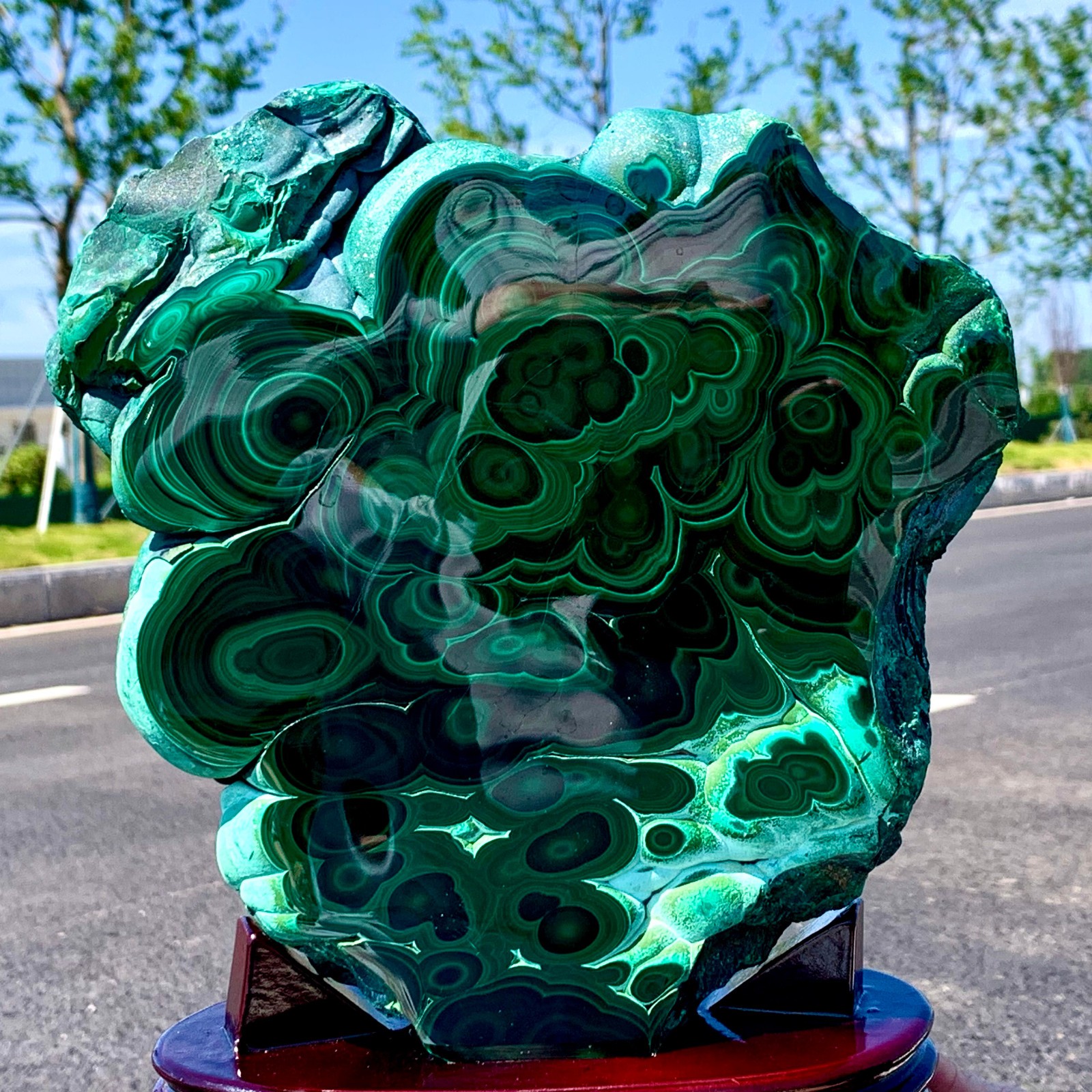 8.64LB Natural glossy Malachite transparent crystal rough mineral sample