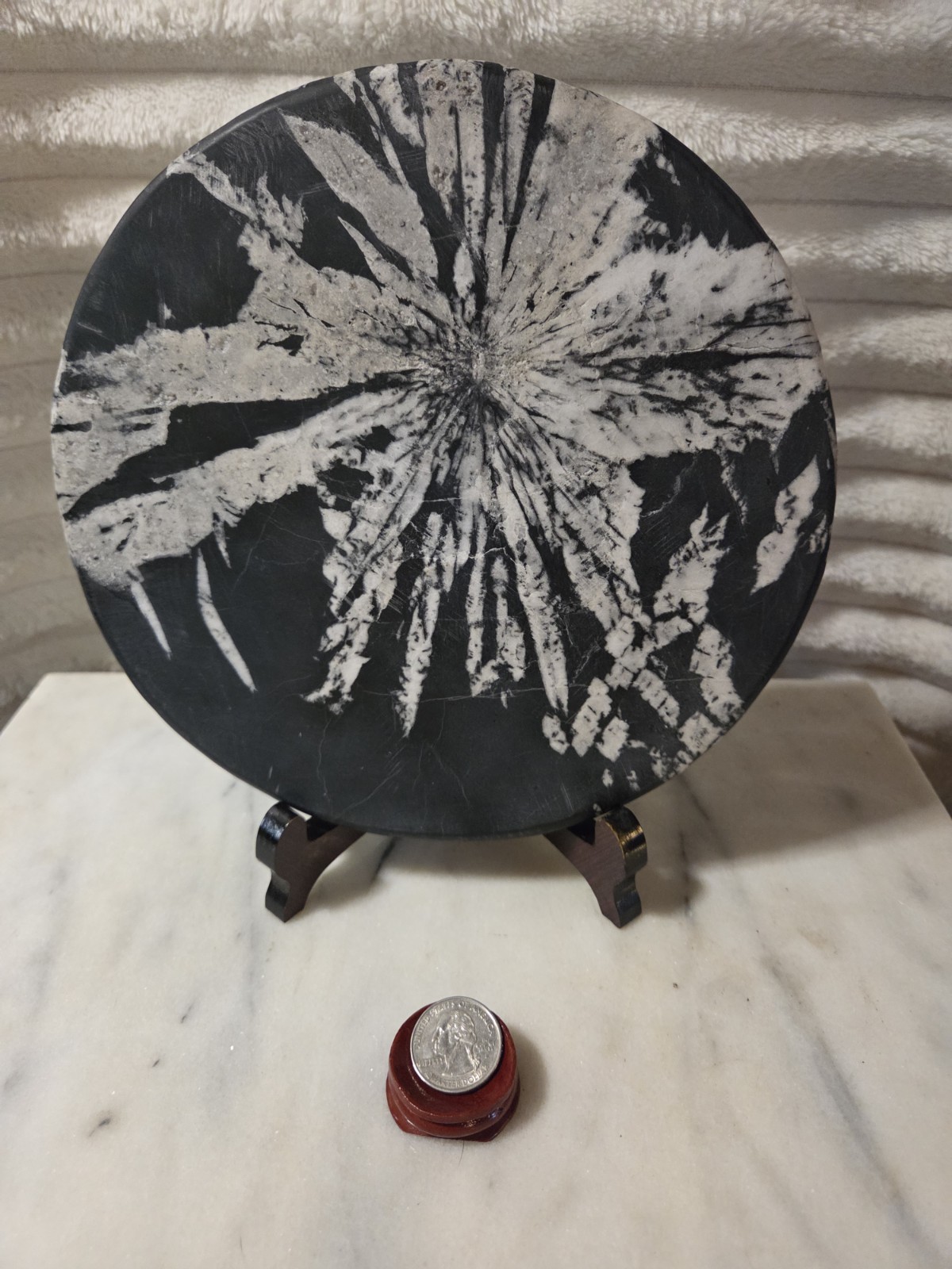 Large Chrysanthemum Stone Disk