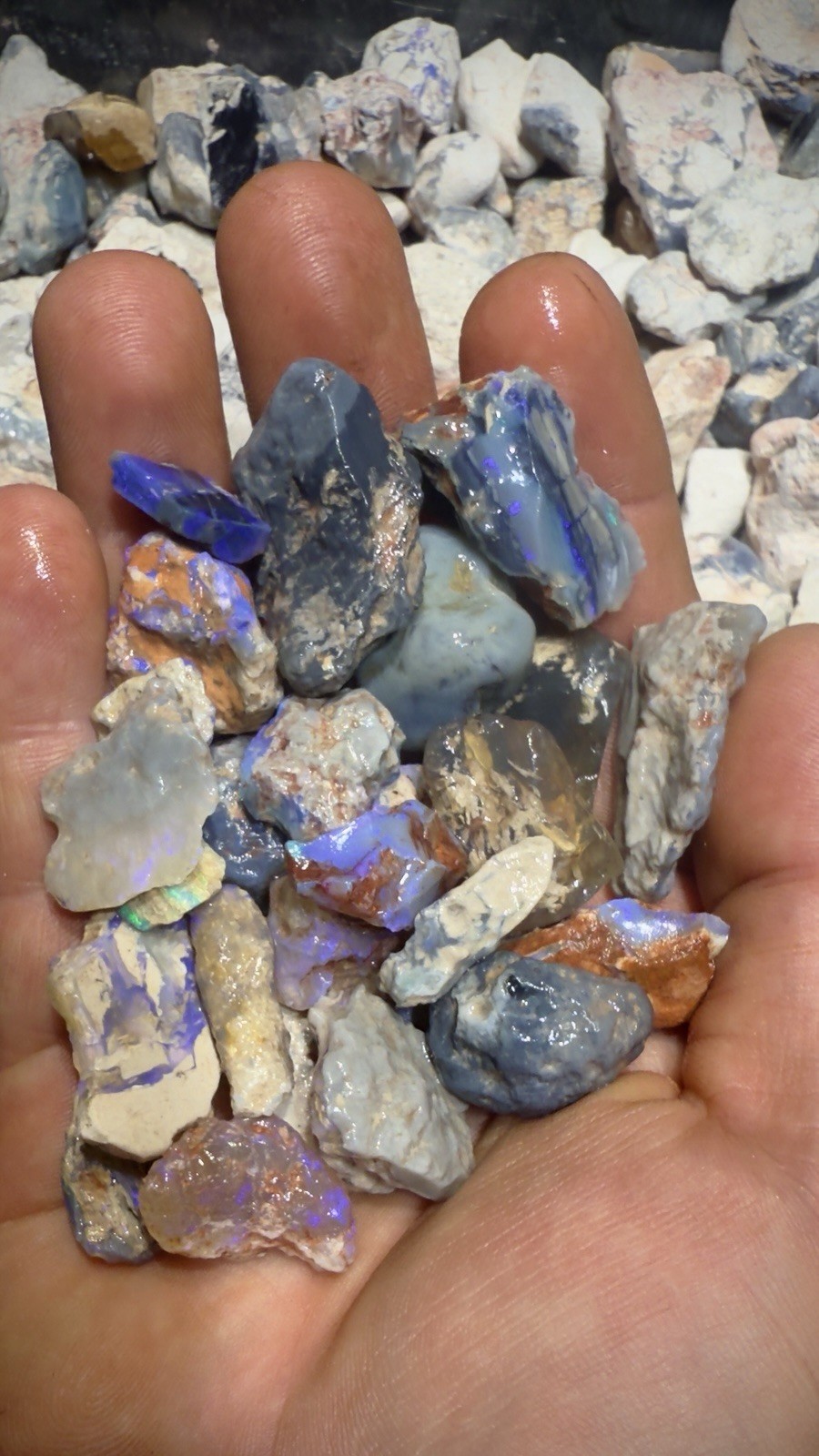 1kg / 1000g / 5000cts Australian Black Opal Rough Lightning Ridge Nobbie Parcels