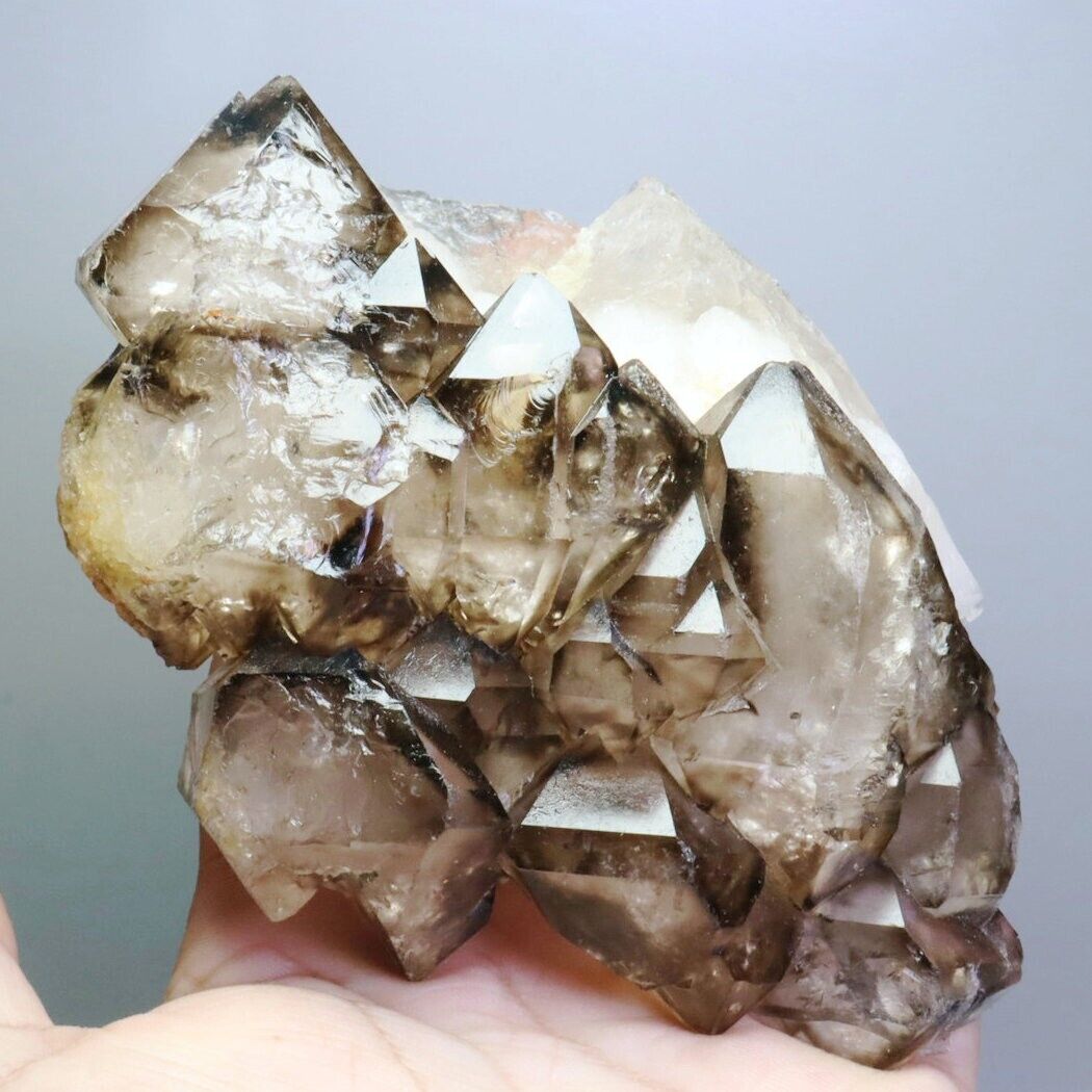 1.31lb Natural Smoky Elestial Skeletal Quartz Crystal Cluster Mineral Specimen