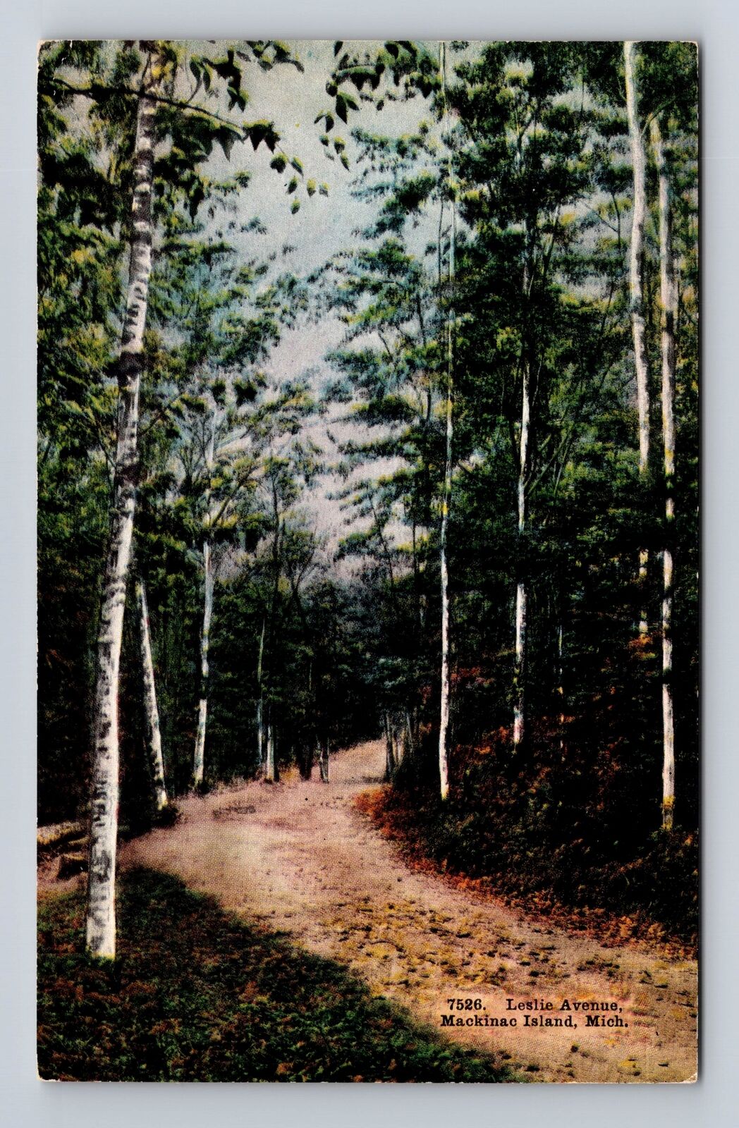 Mackinac Island MI-Michigan, Leslie Avenue, Wooded Lane, Vintage Postcard