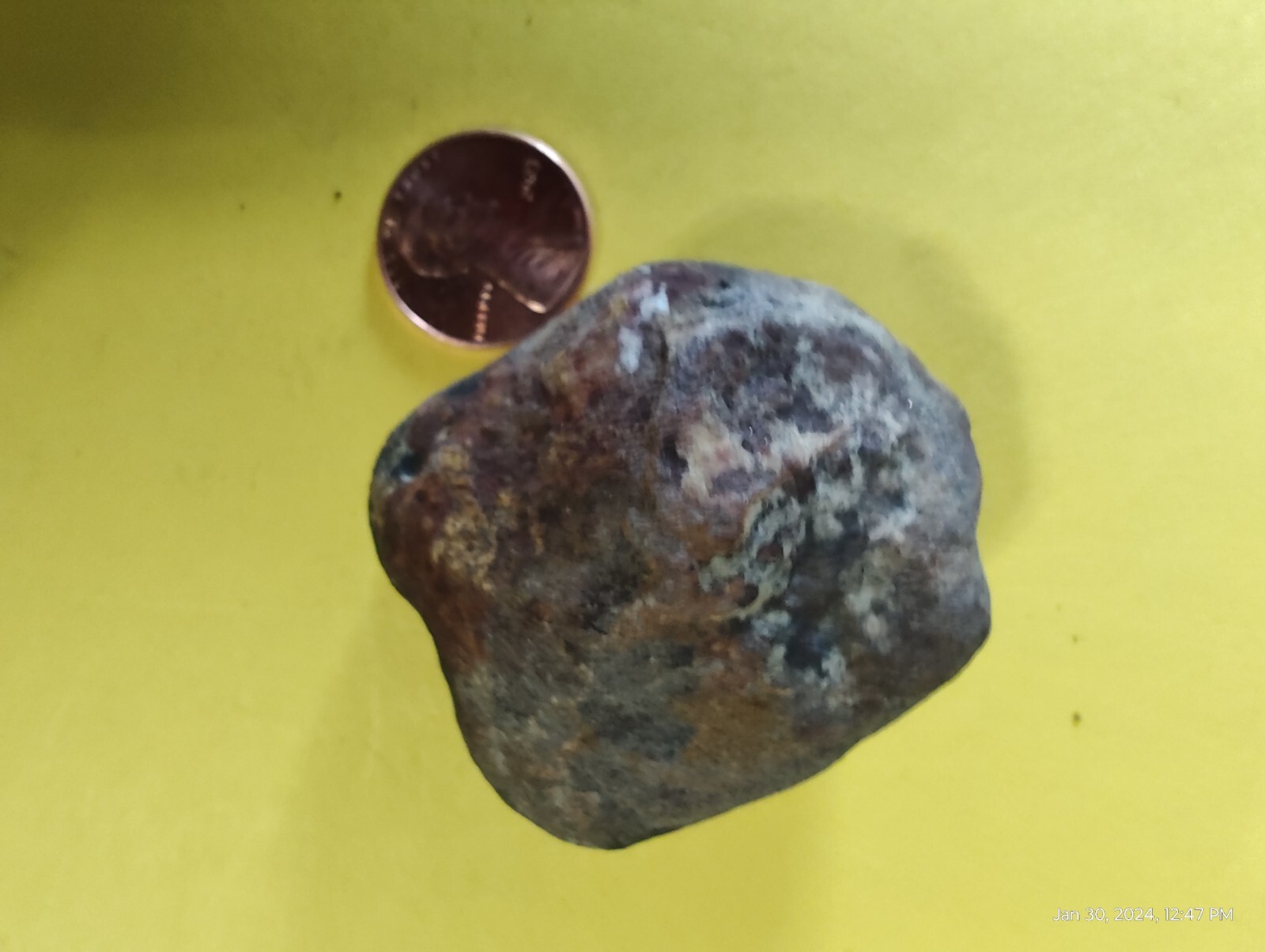 Prehistoric Fece Fossil Dinosaur Dung Poop crap turd Virginia Coastal Plain 75gr