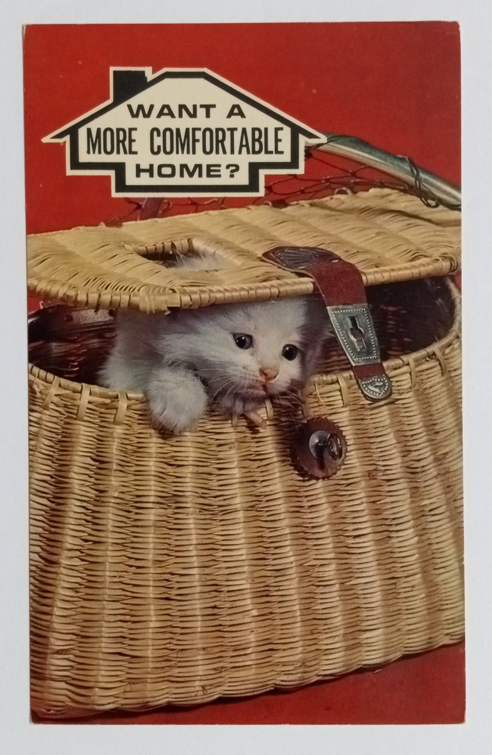 Vintage Kitten in Basket Advertising Postcard - Home Loan Promo