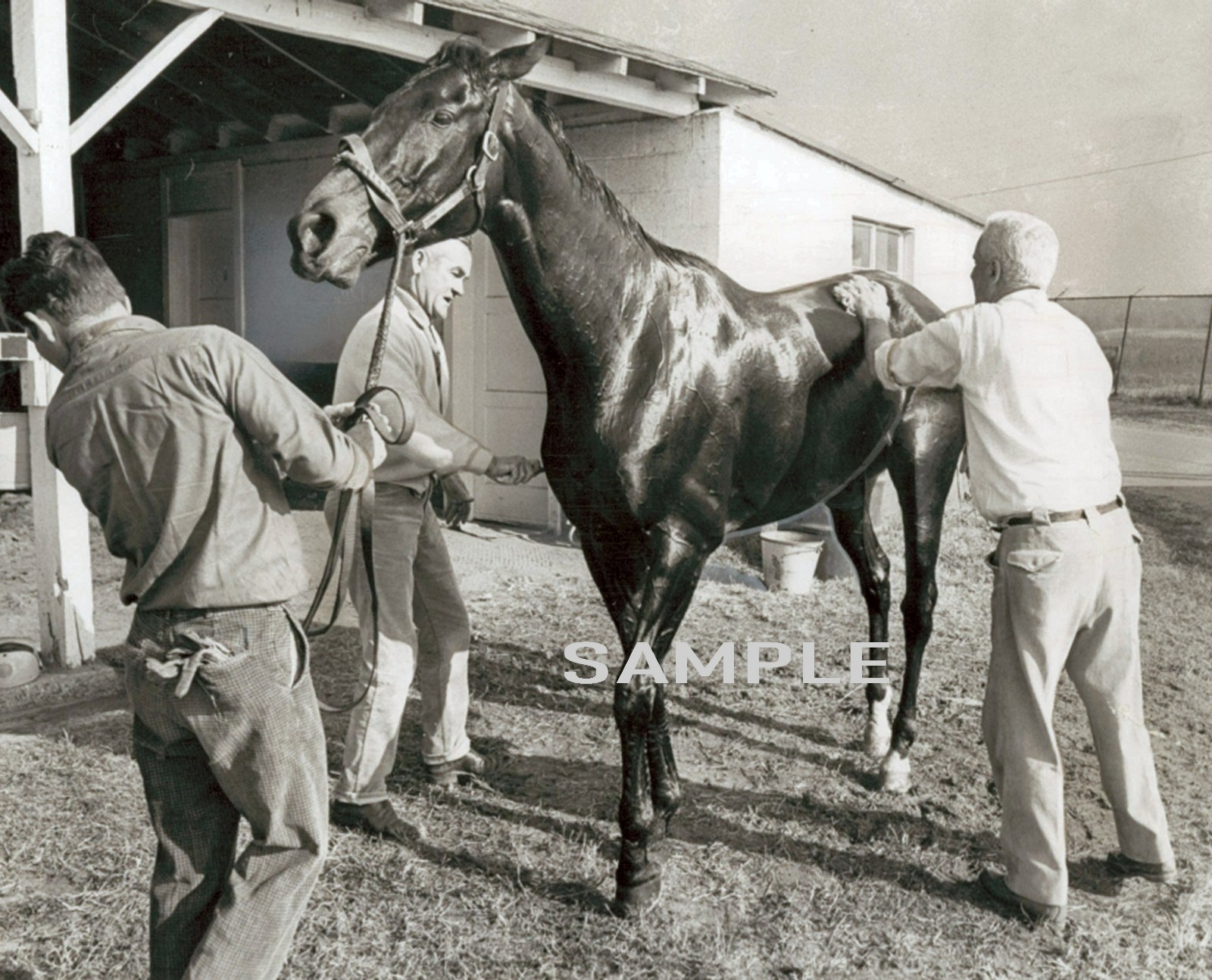 1964 Champion Race Horse KELSO and Handlers Photo  (139-O)